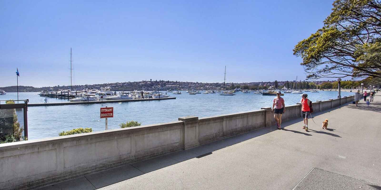 3/659 New South Head Road Rose Bay 3/659 New South Head Road Rose Bay