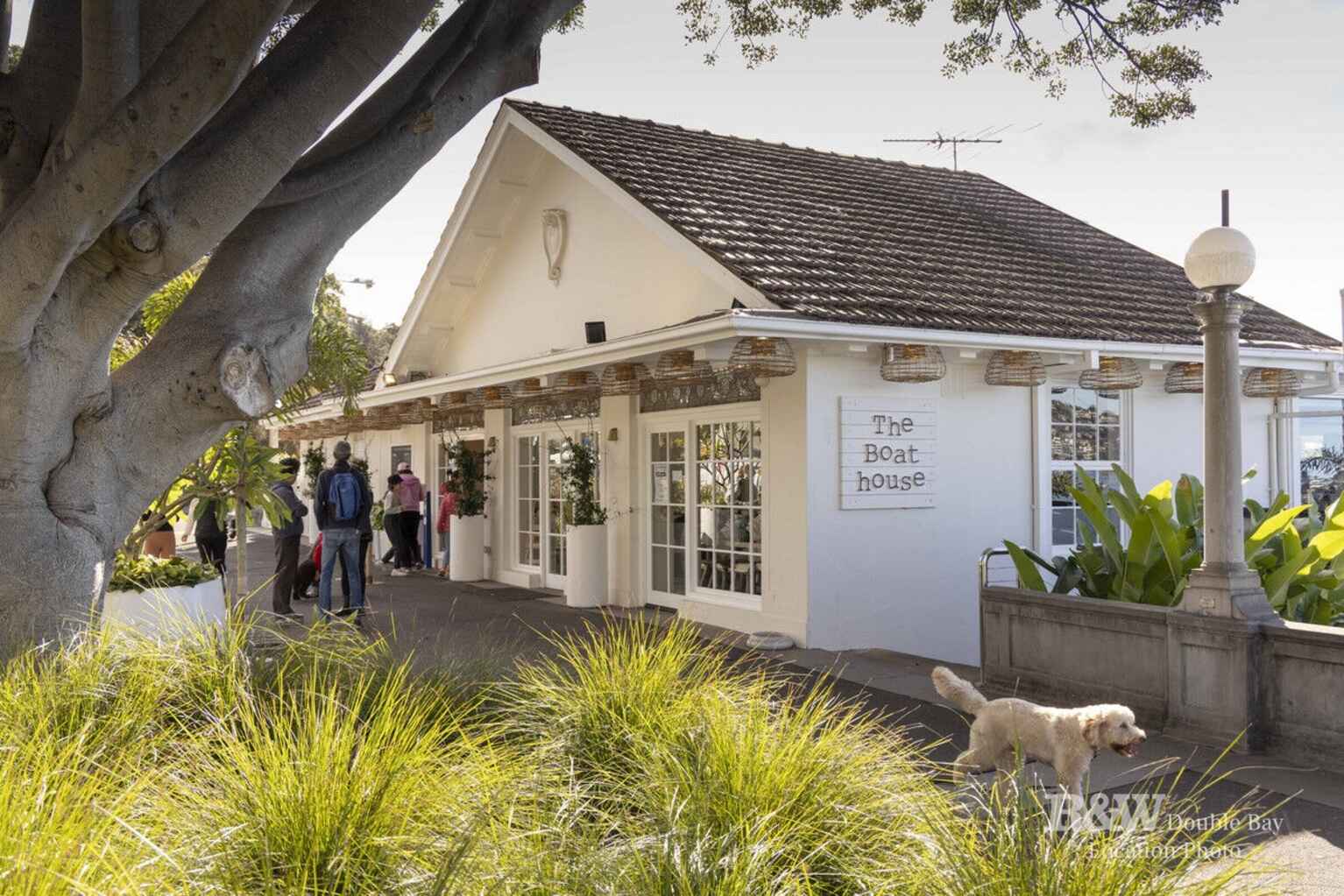 3/659 New South Head Road Rose Bay 3/659 New South Head Road Rose Bay