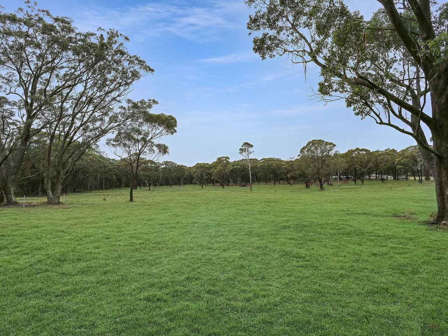  Wildwood/Nandi/Wattlebird Wingello