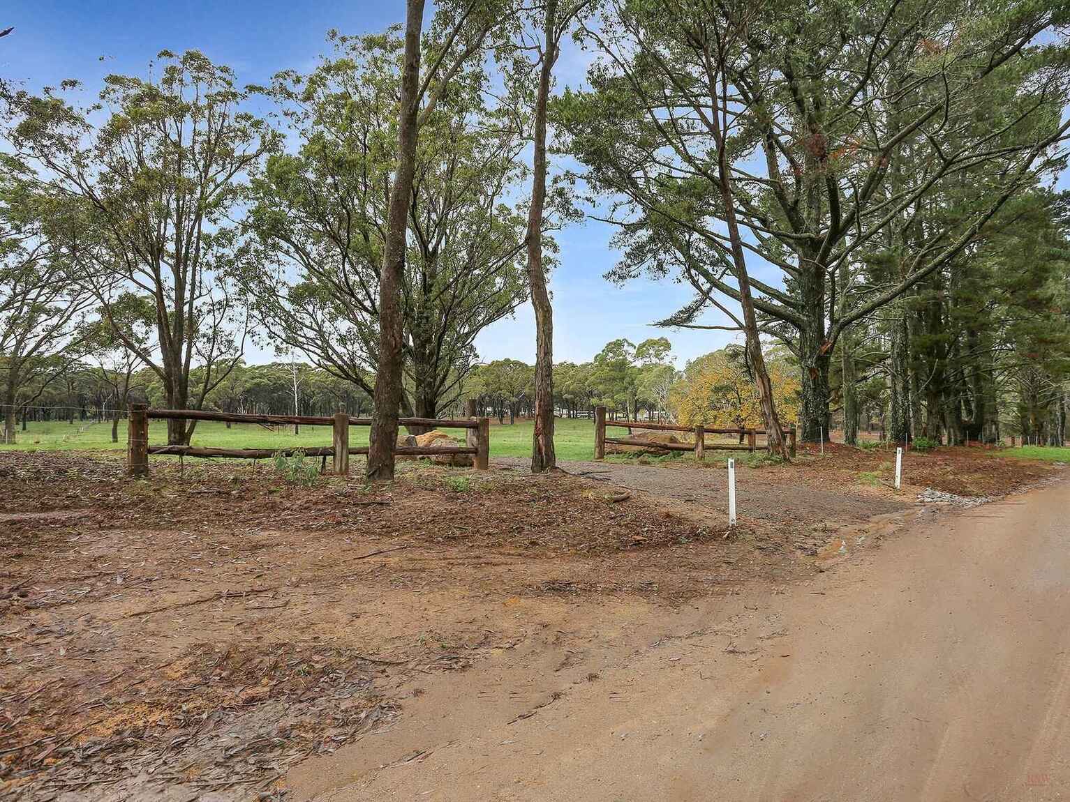  Wildwood/Nandi/Wattlebird Wingello