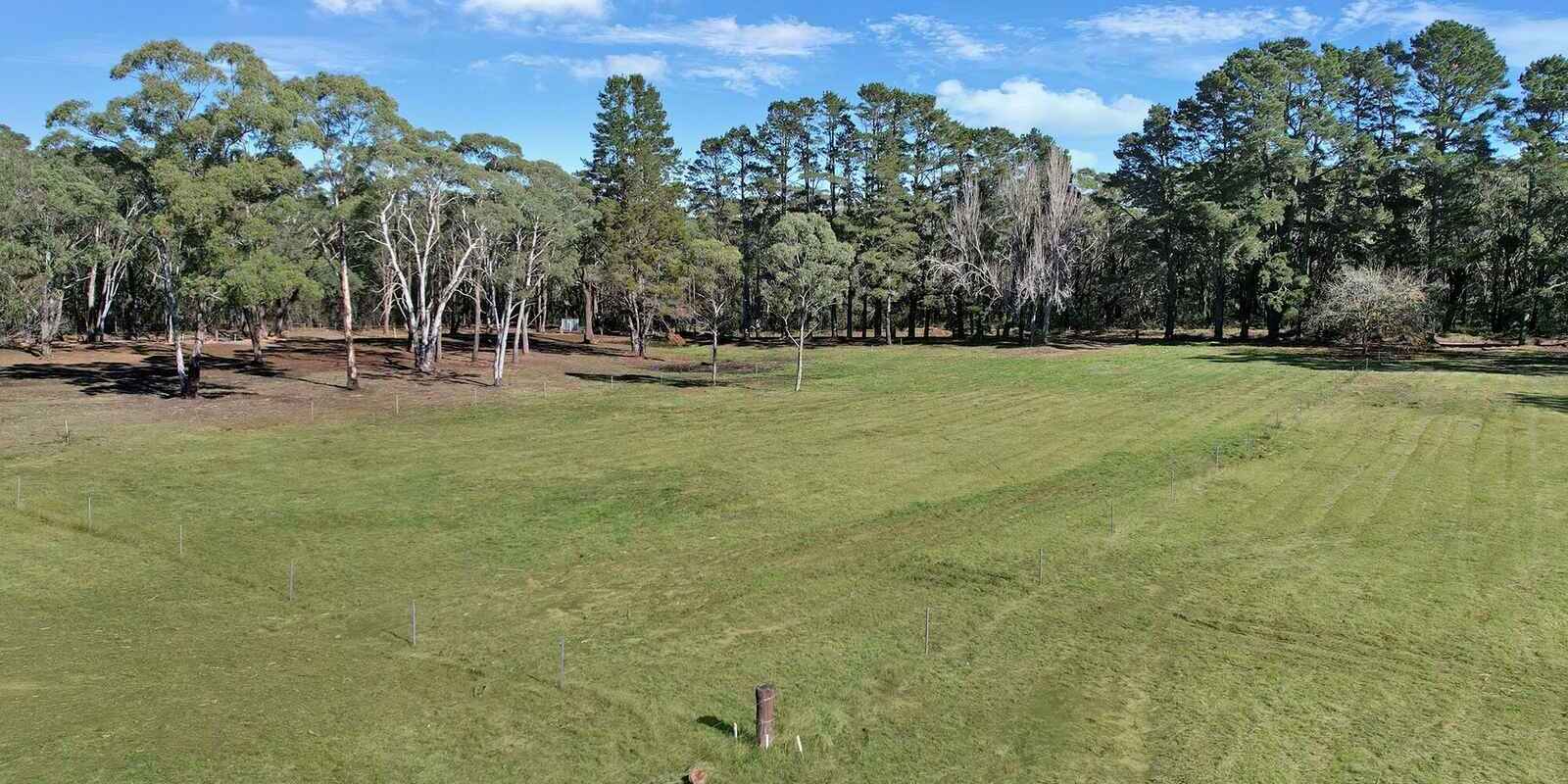  Wildwood/Nandi/Wattlebird Wingello