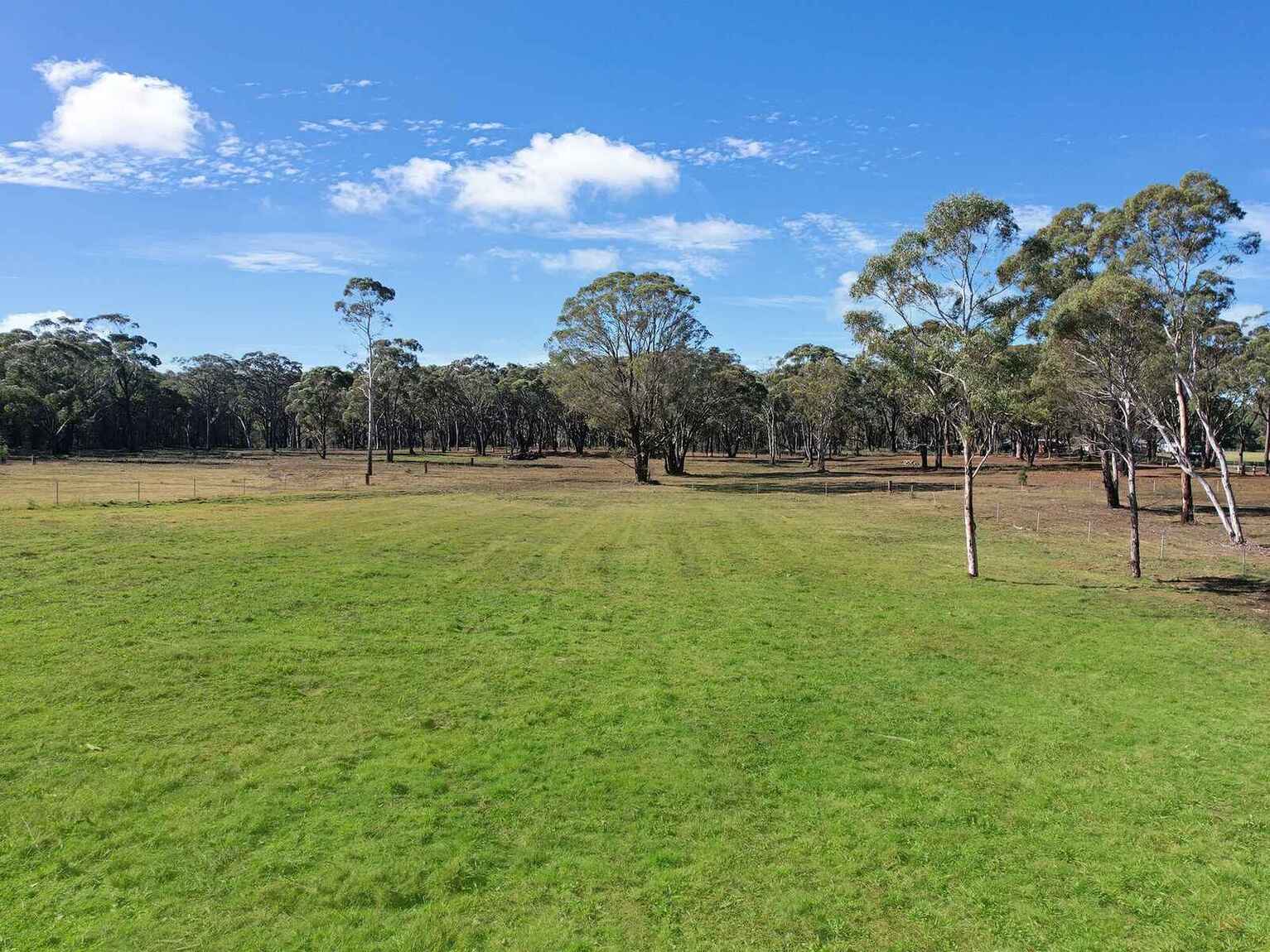  Wildwood/Nandi/Wattlebird Wingello