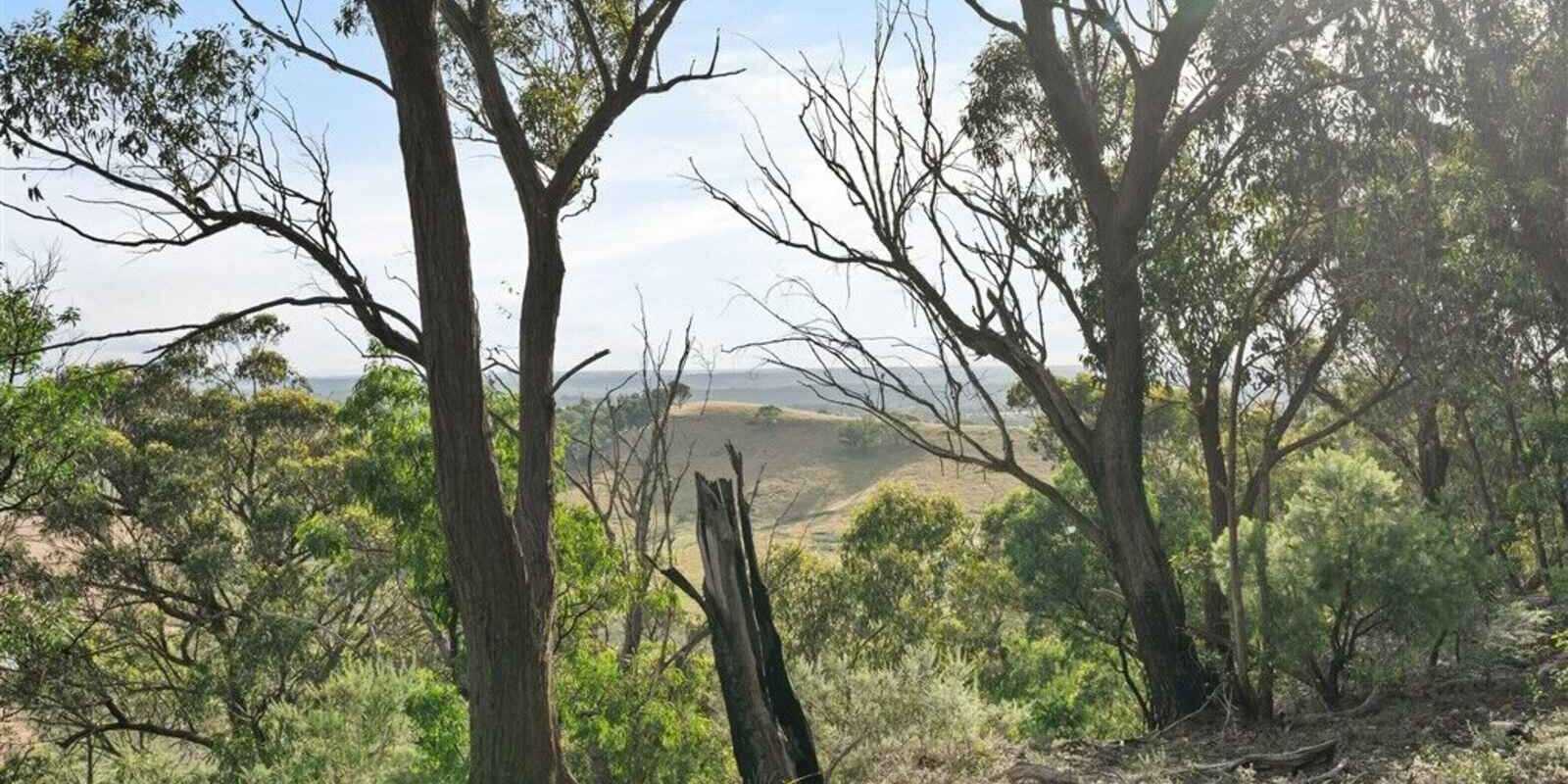 501 Tugalong Road Canyonleigh 501 Tugalong Road Canyonleigh