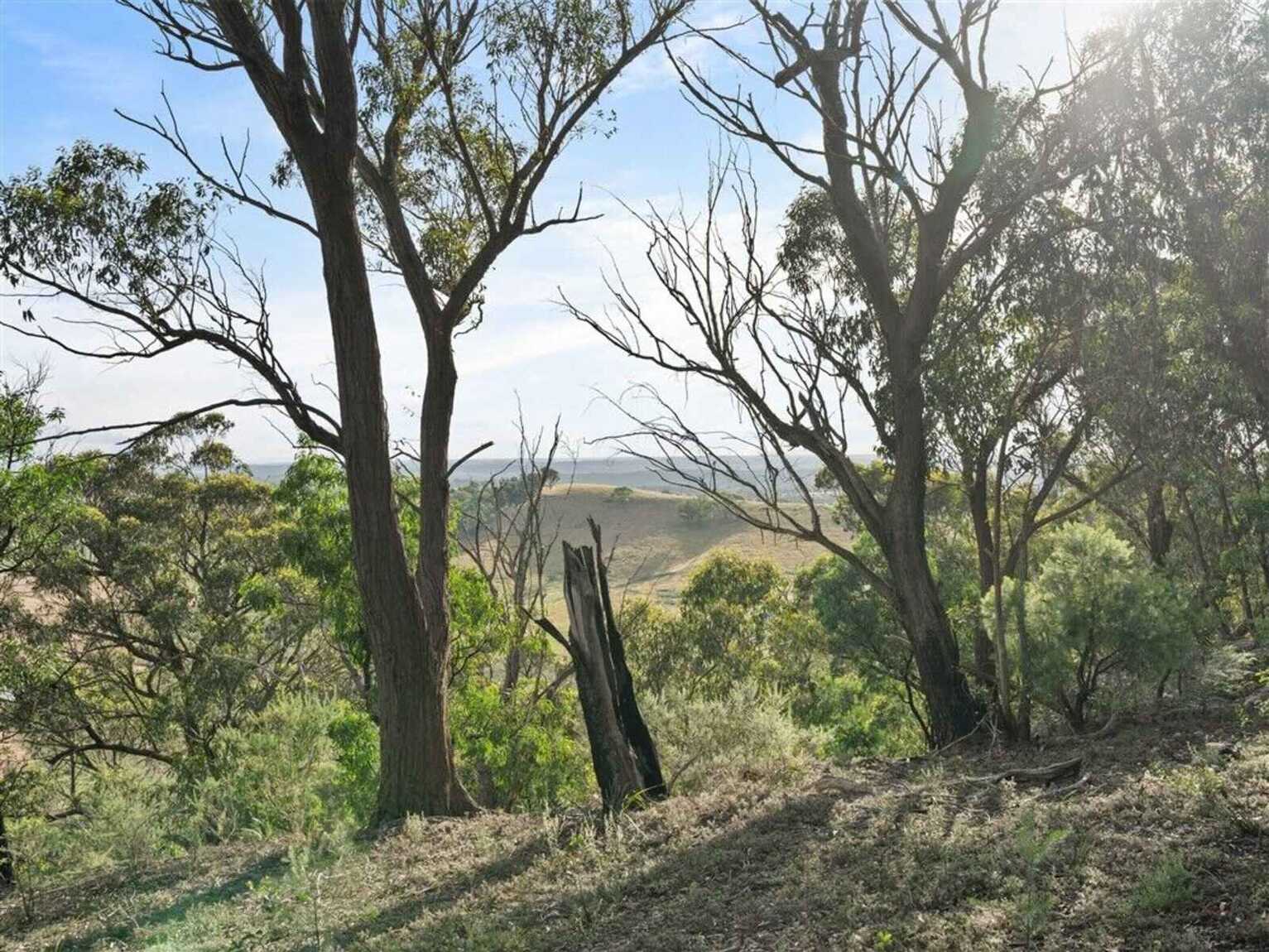501 Tugalong Road Canyonleigh 501 Tugalong Road Canyonleigh