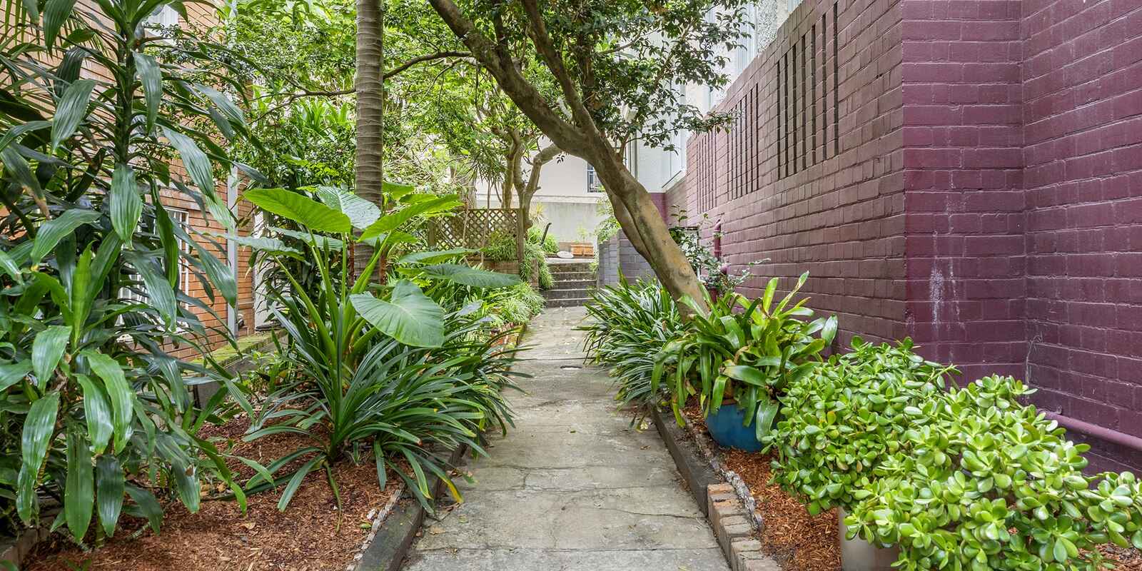 21/20 Waratah Street Rushcutters Bay