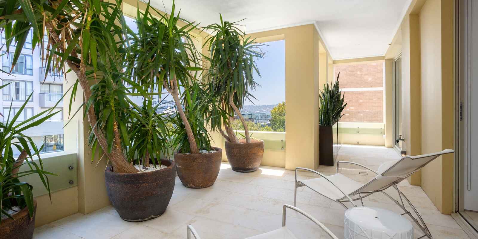 7/38 Macleay Street Elizabeth Bay