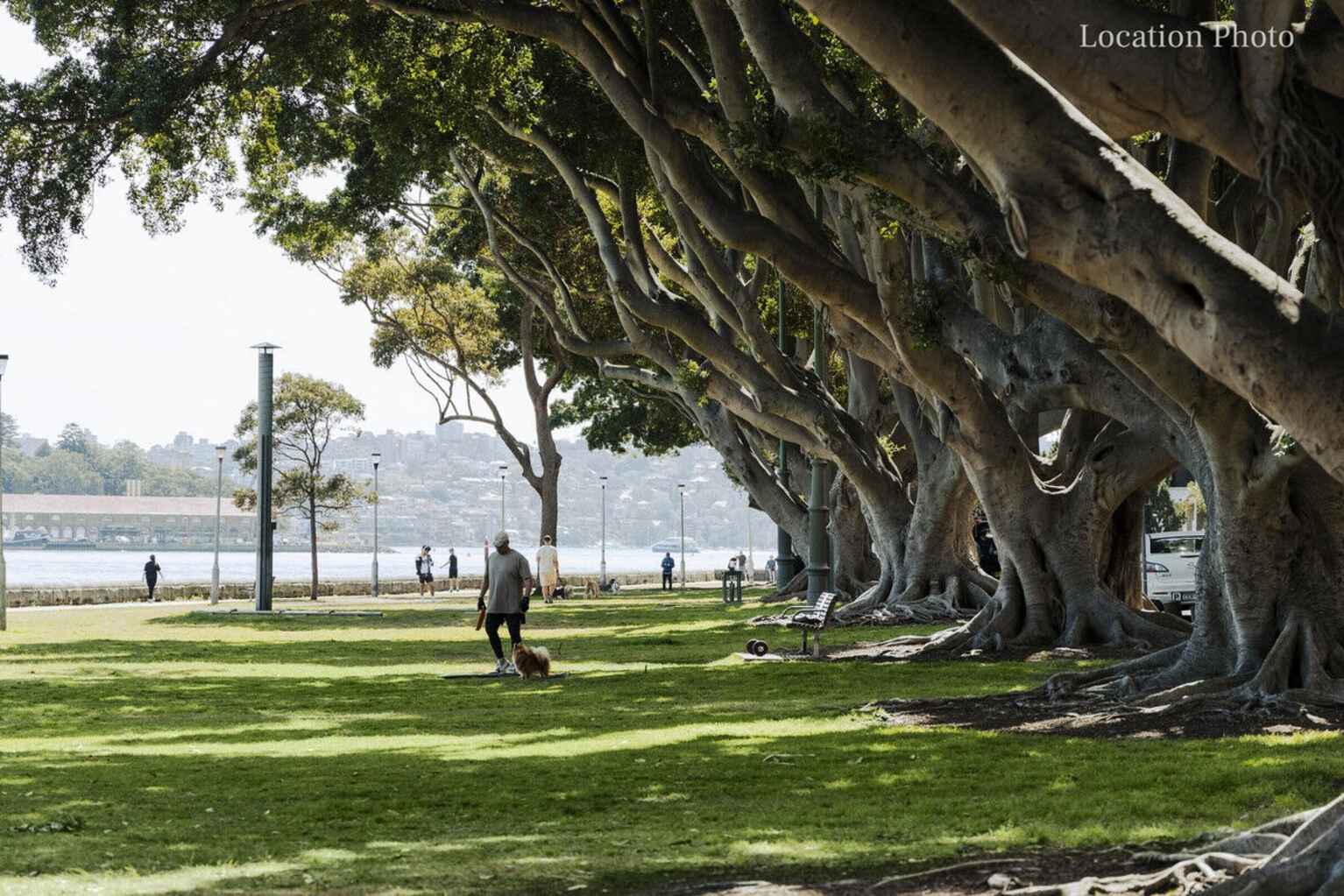 18-20 Artlett Street Edgecliff