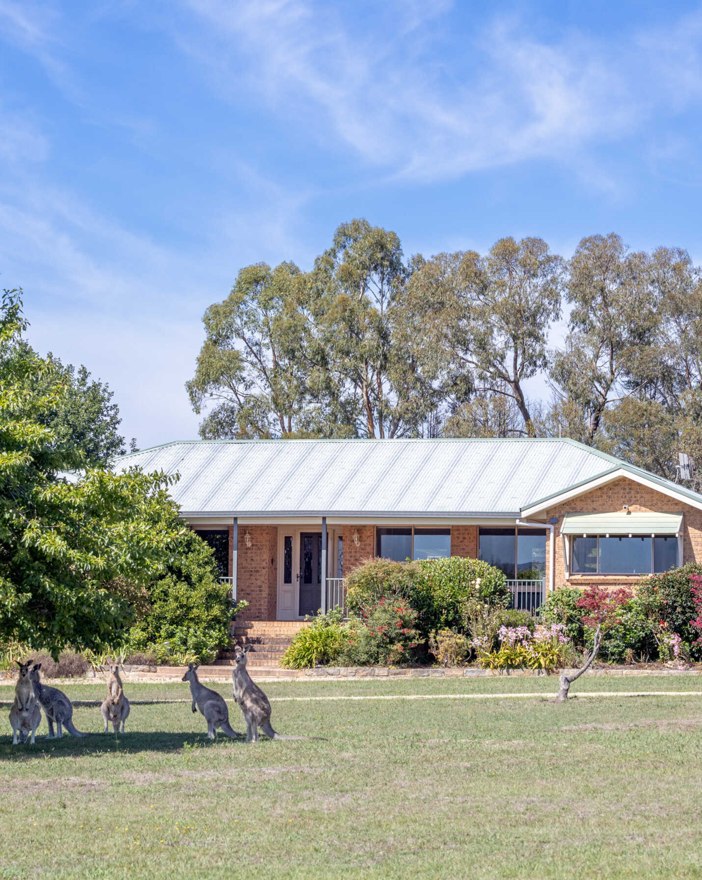 63 Granger Place Hartley, Hartley - Image 1
