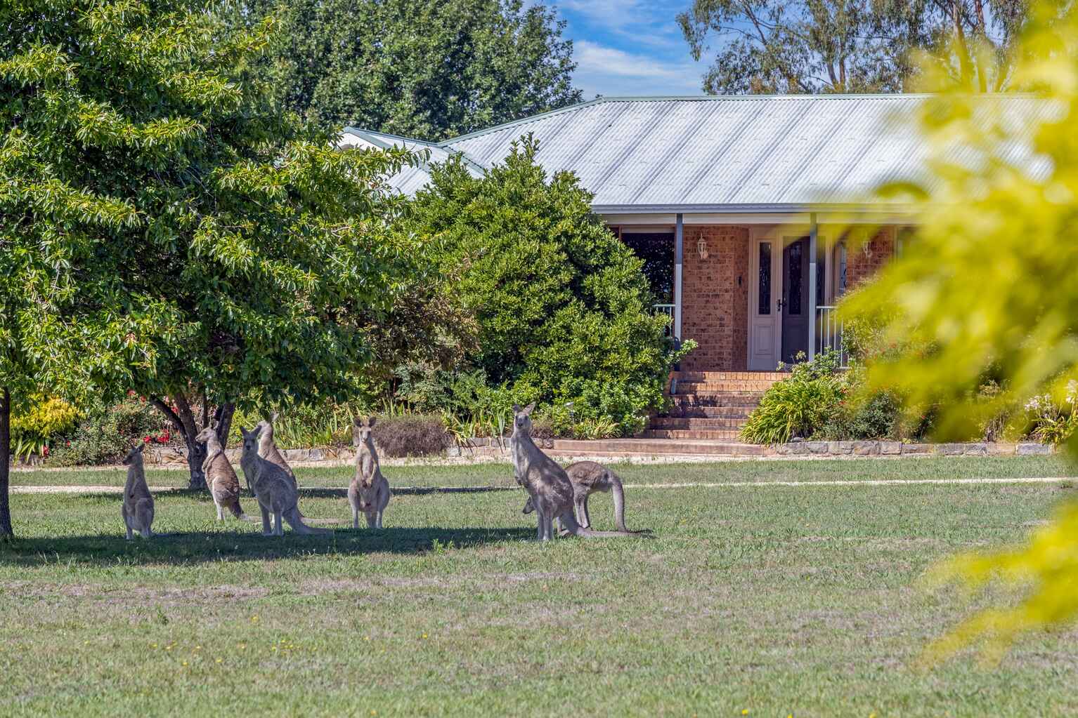 63 Granger Place Hartley