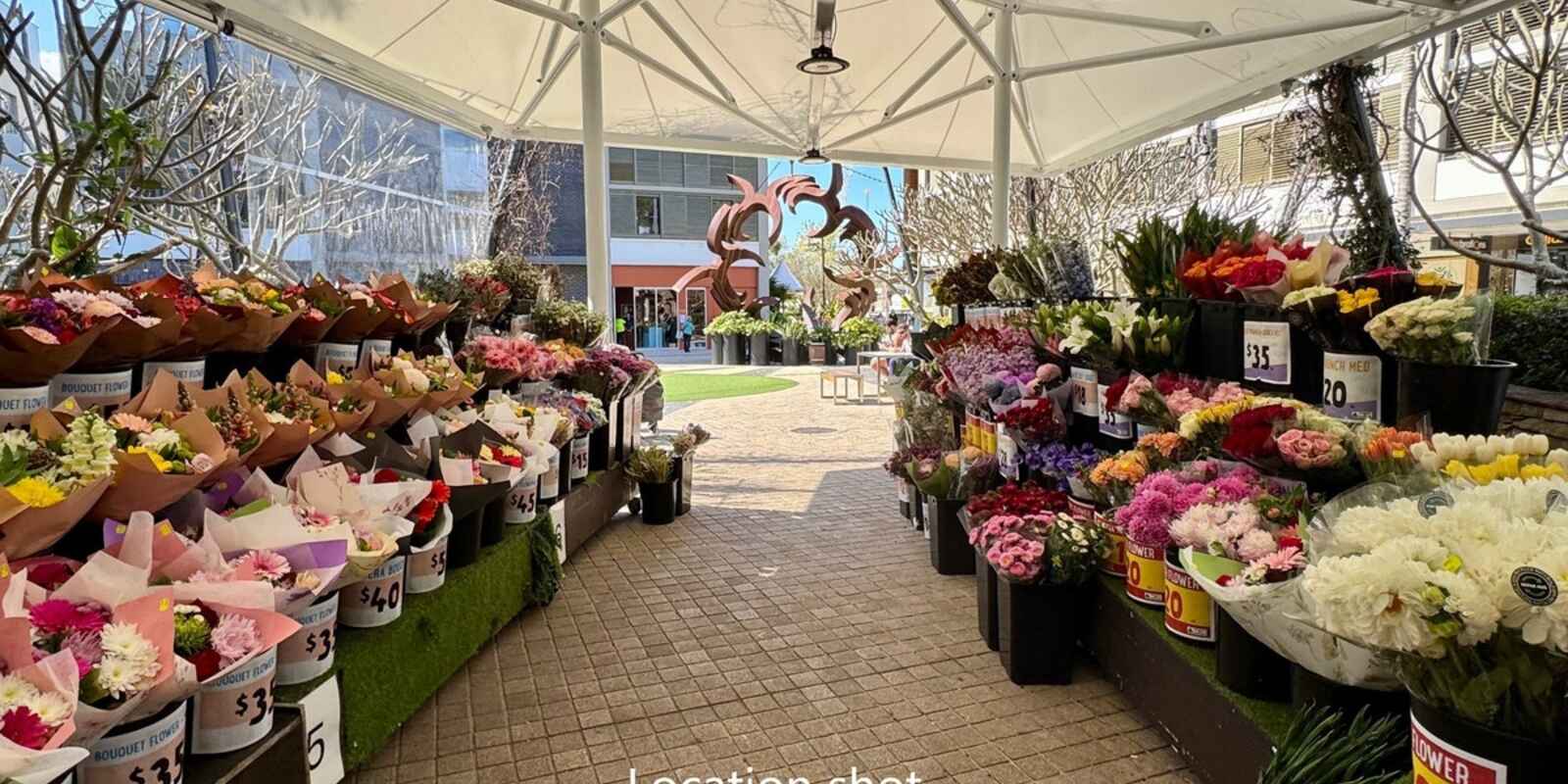 101/467 Miller Street Cammeray 101/467 Miller Street Cammeray