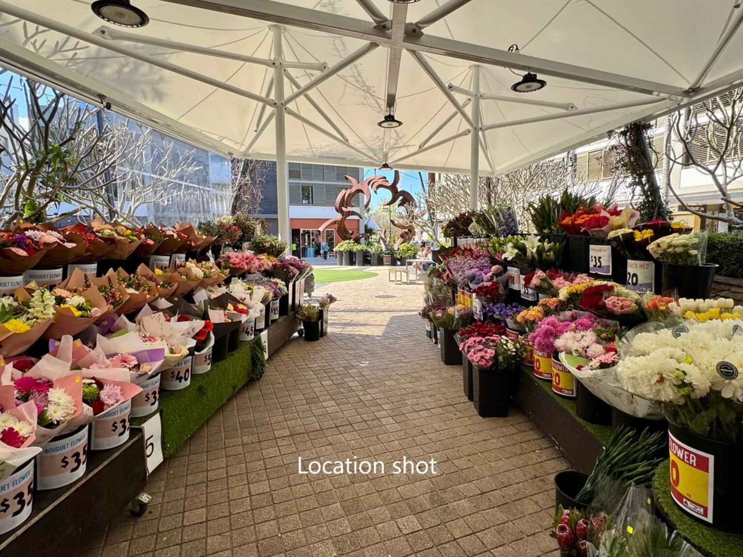 101/467 Miller Street Cammeray 101/467 Miller Street Cammeray