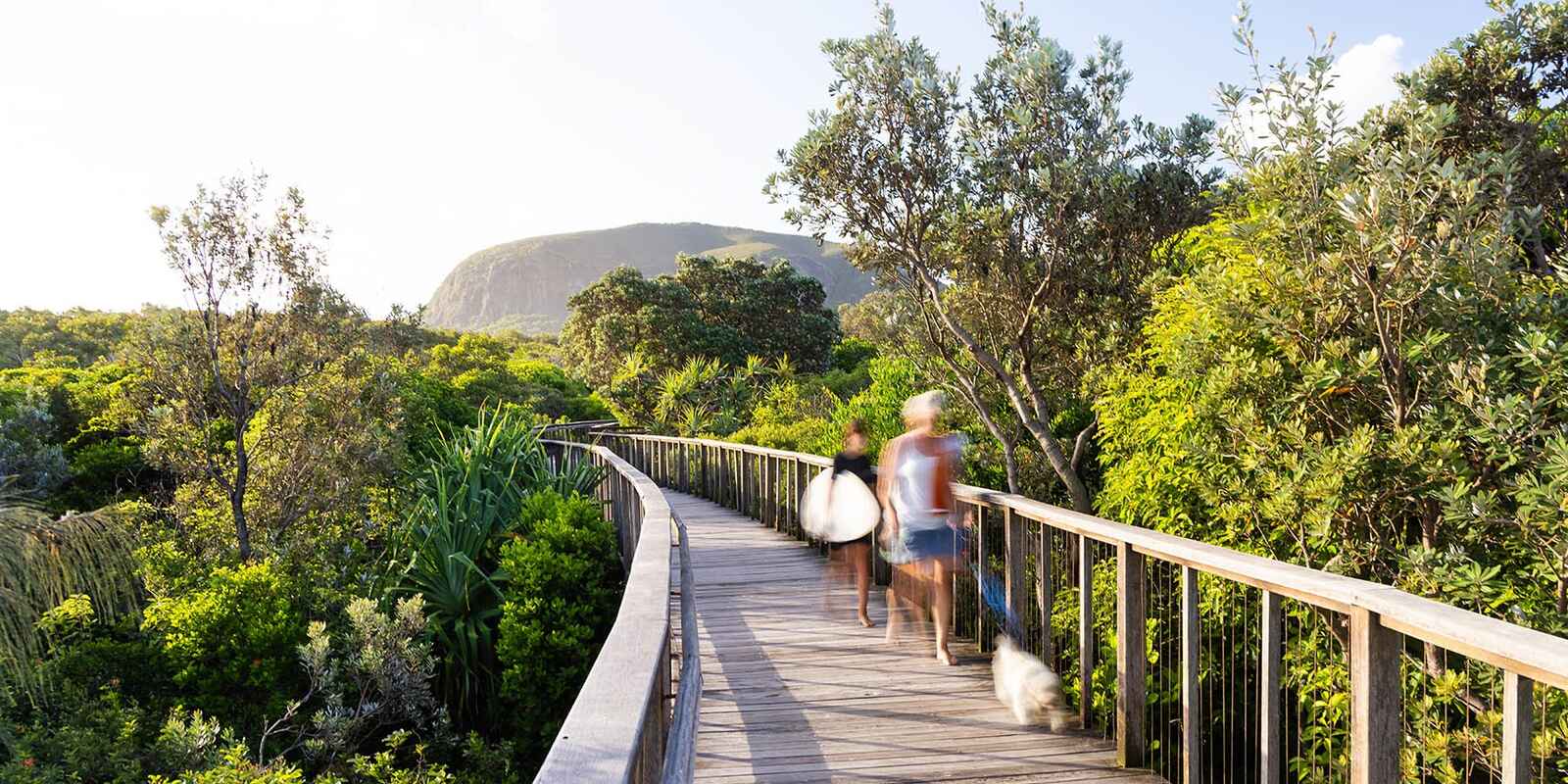 25/6 Suncoast Beach Drive Mount Coolum