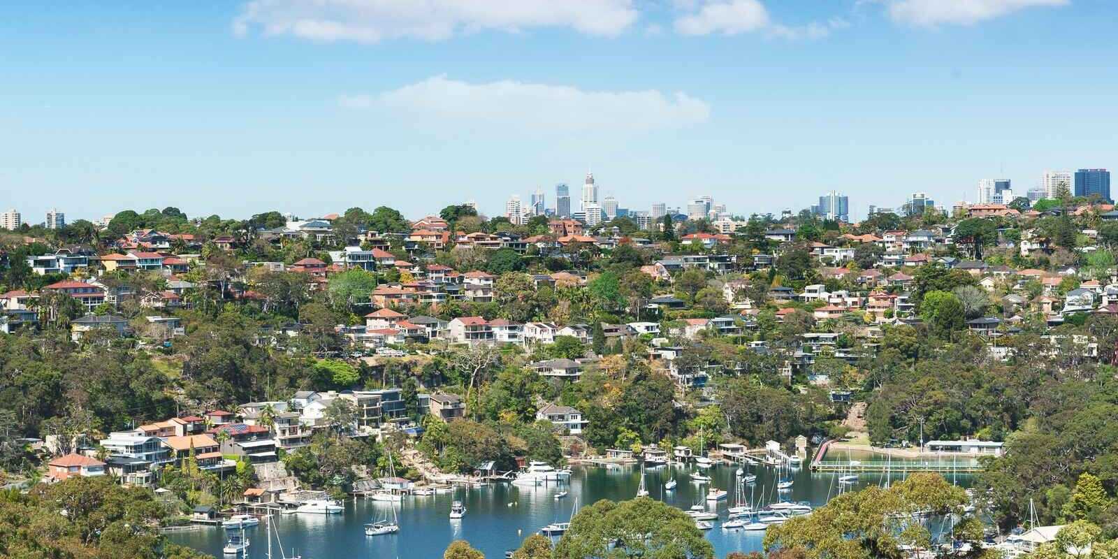 242  Edinburgh Road  Castlecrag