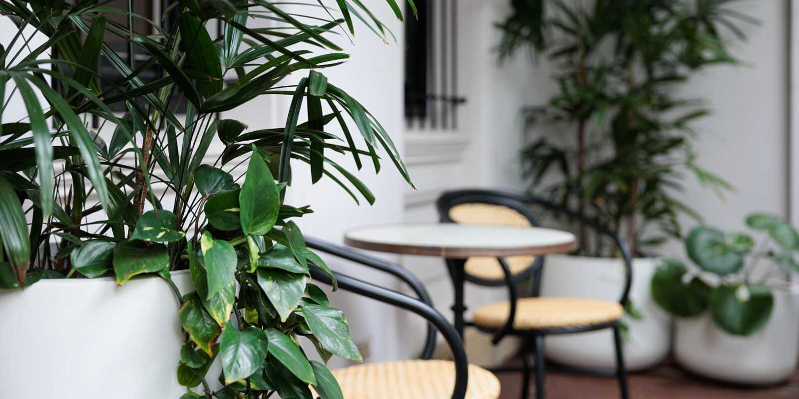 20 Rockwall Crescent Potts Point