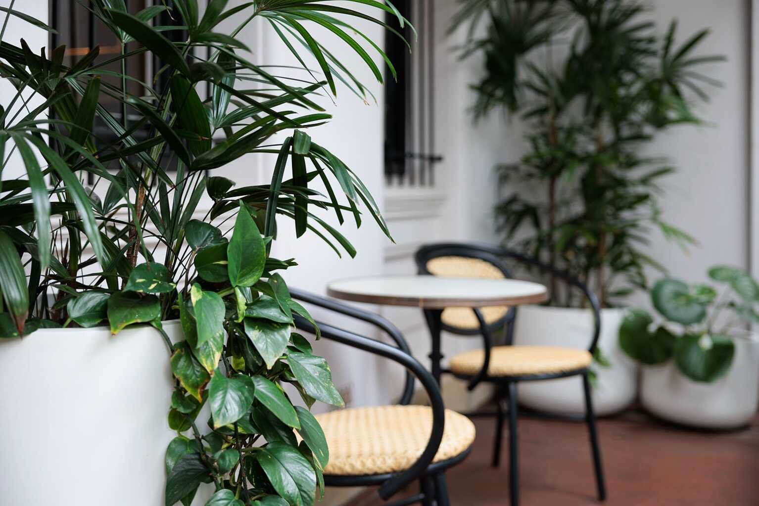 20 Rockwall Crescent Potts Point