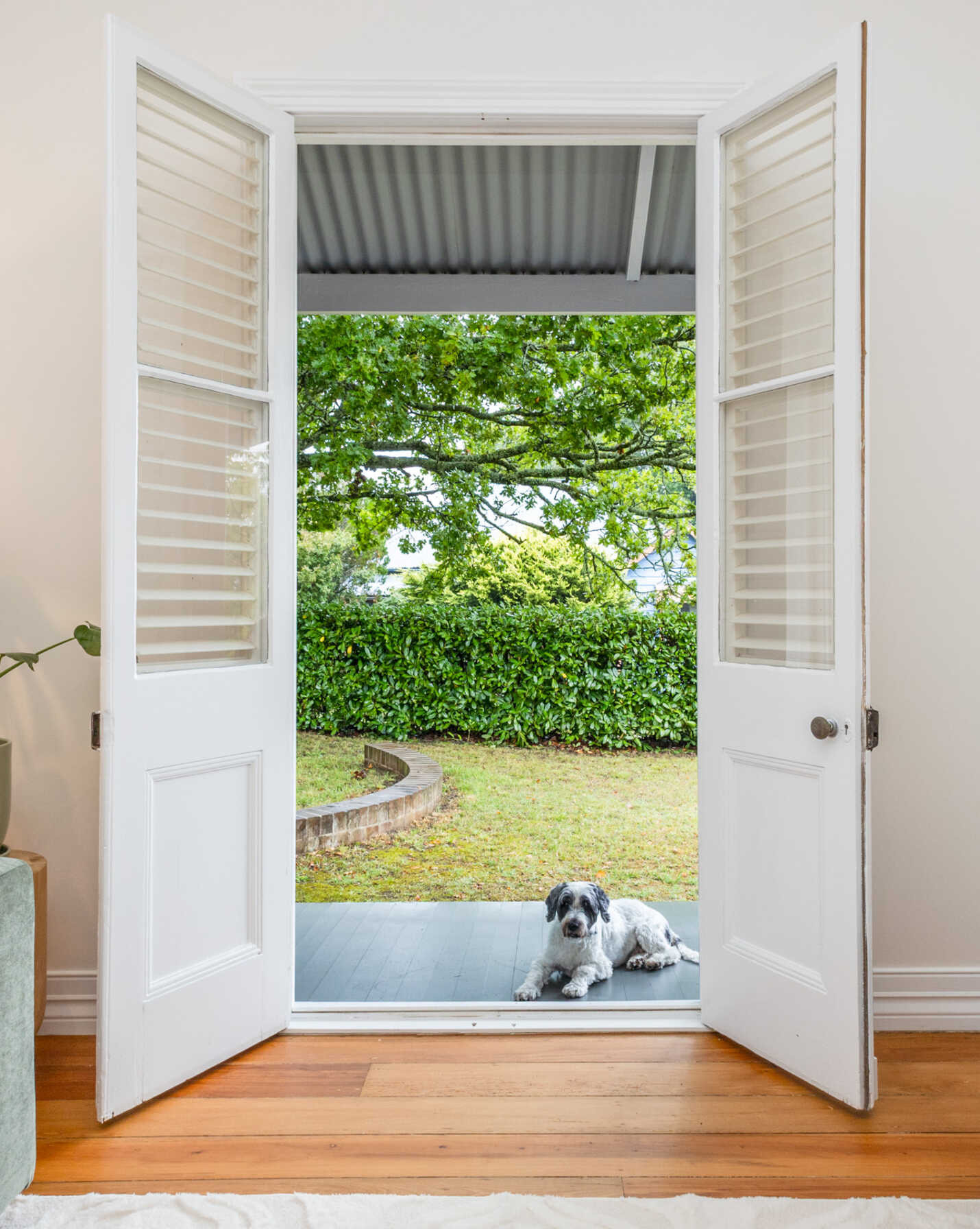 17 Waragil Street Blackheath, Blackheath - Thumbnail 4