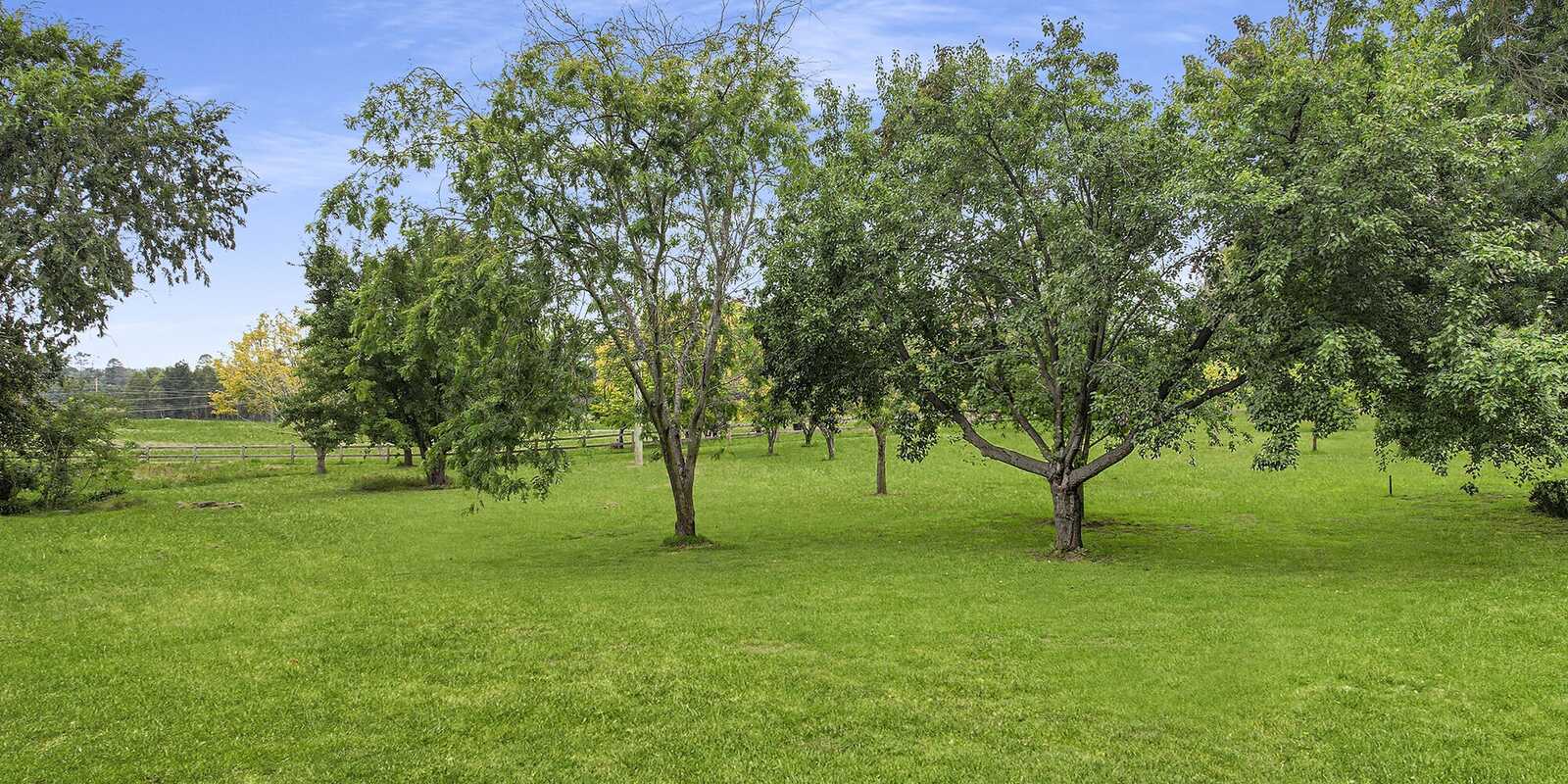 42 Suttor Road Moss Vale 42 Suttor Road Moss Vale