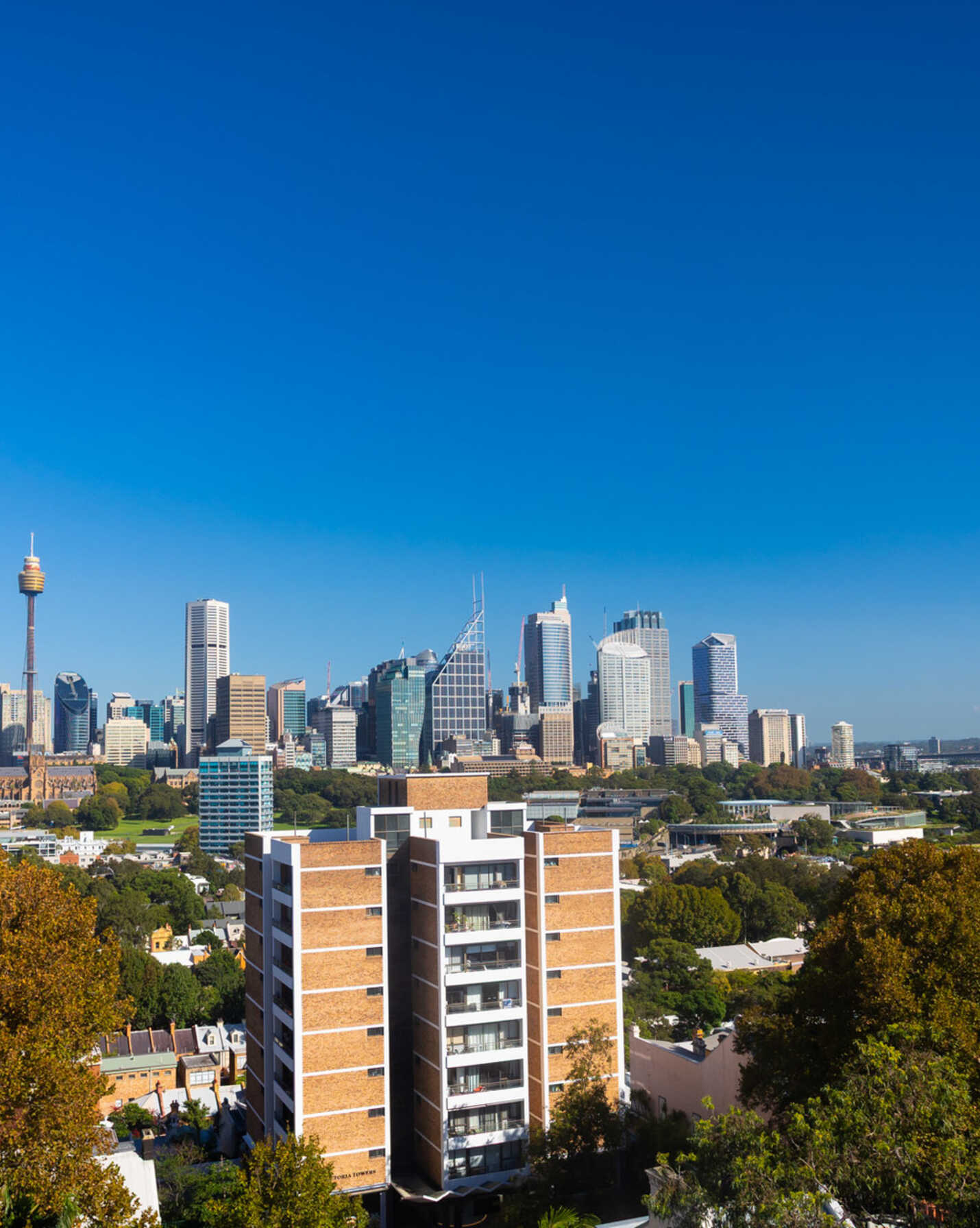 33/7 Springfield Avenue Potts Point, Point - Thumbnail 5