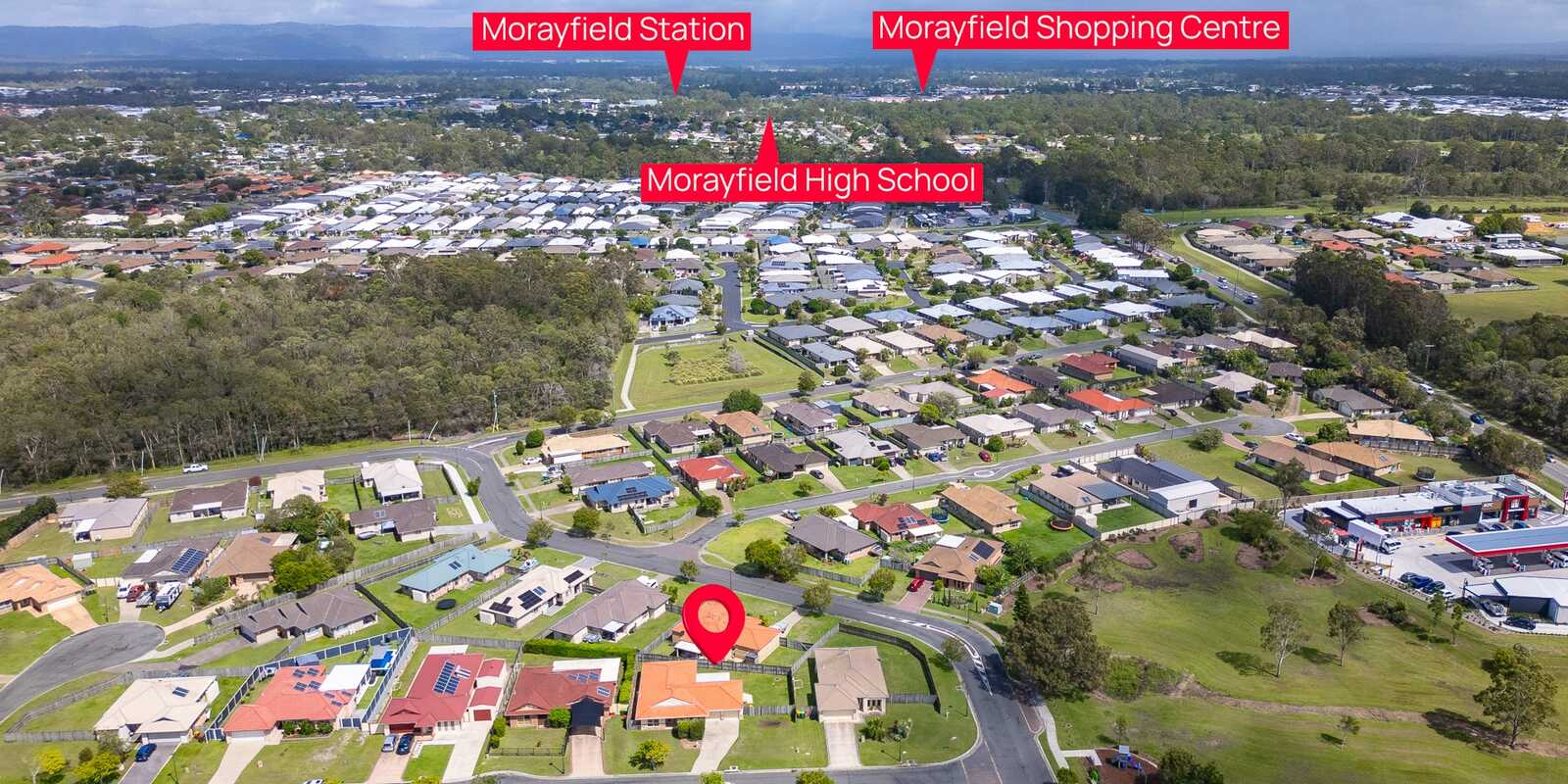 4 Radiata Court Morayfield 4 Radiata Court Morayfield