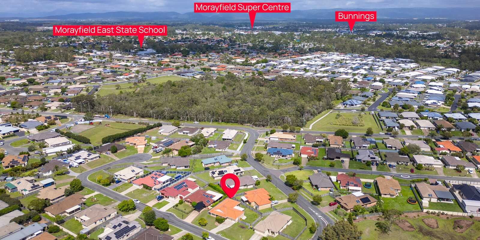 4 Radiata Court Morayfield 4 Radiata Court Morayfield