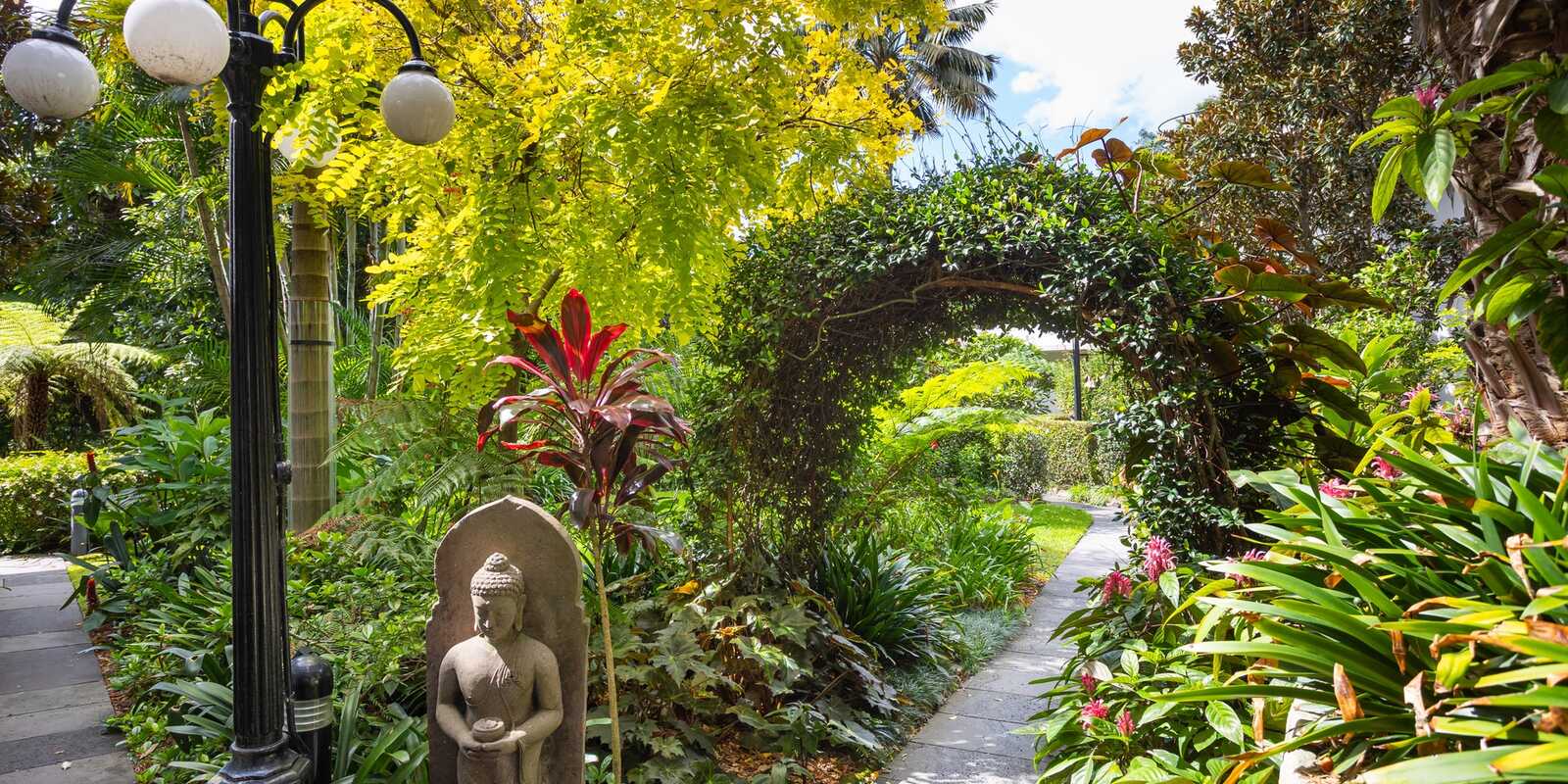 15/8a Wylde Street Potts Point 15/8a Wylde Street Potts Point