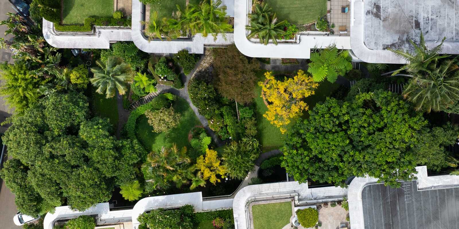 15/8a Wylde Street Potts Point 15/8a Wylde Street Potts Point