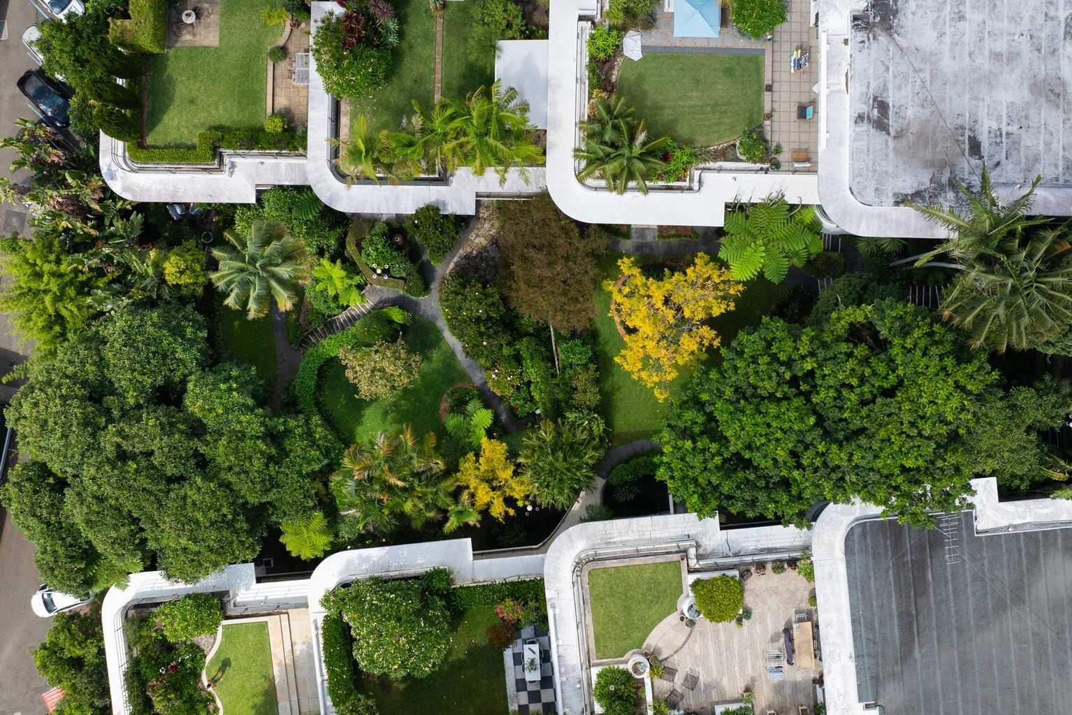 15/8a Wylde Street Potts Point 15/8a Wylde Street Potts Point