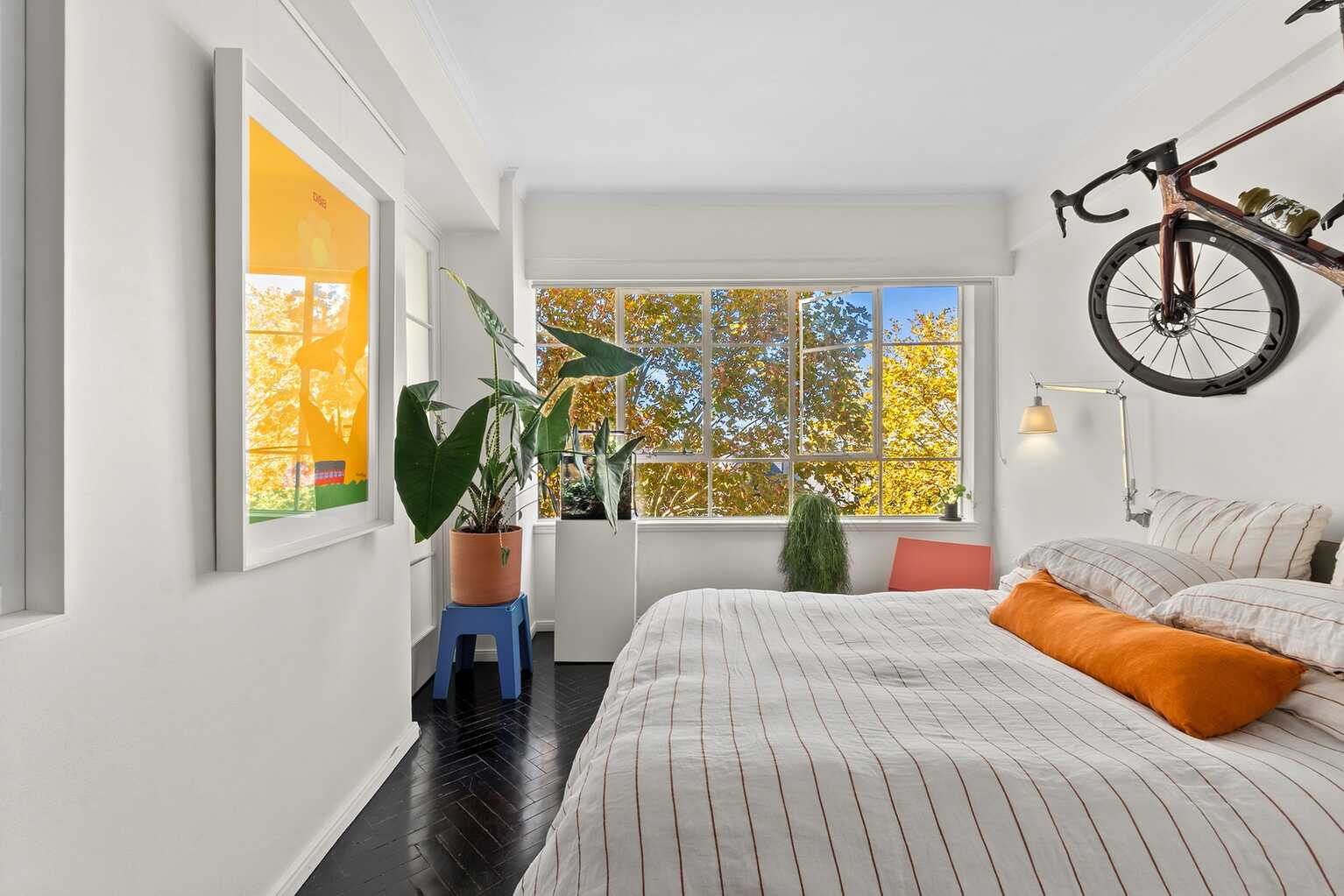 43/17 Wylde Street Potts Point