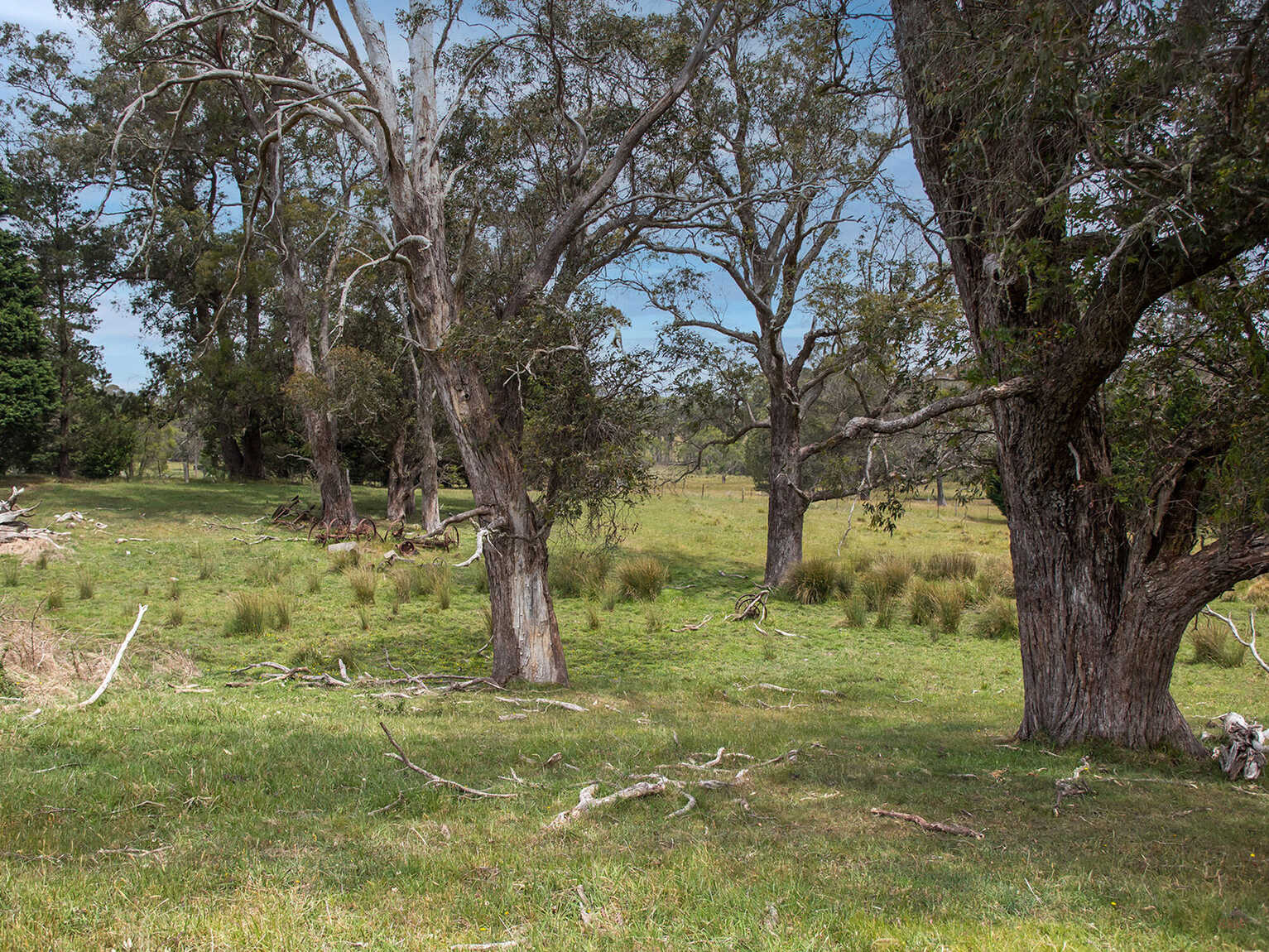 746 Sheepwash Road Avoca