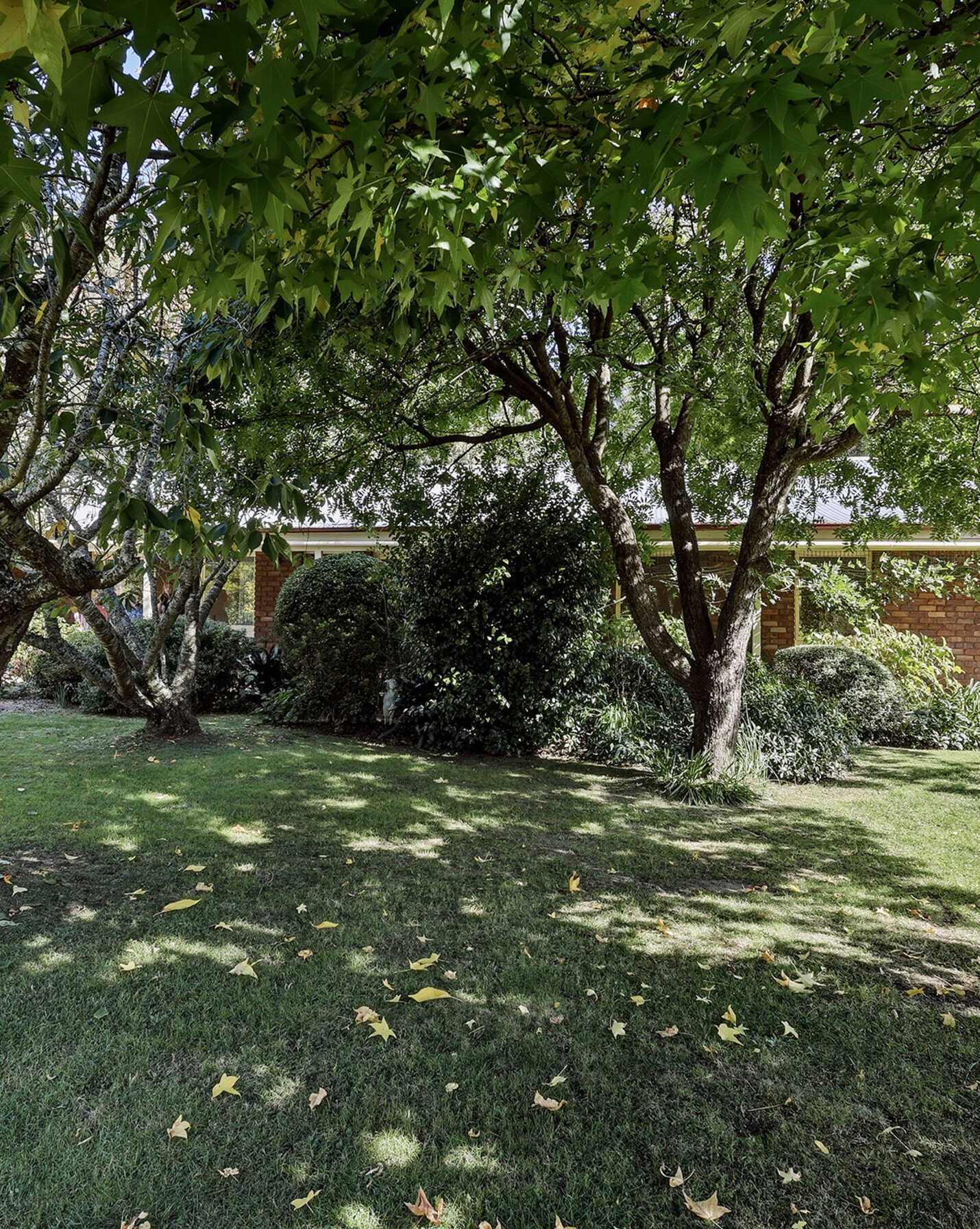 2 Curringa Place Bundanoon, Bundanoon - Thumbnail 3