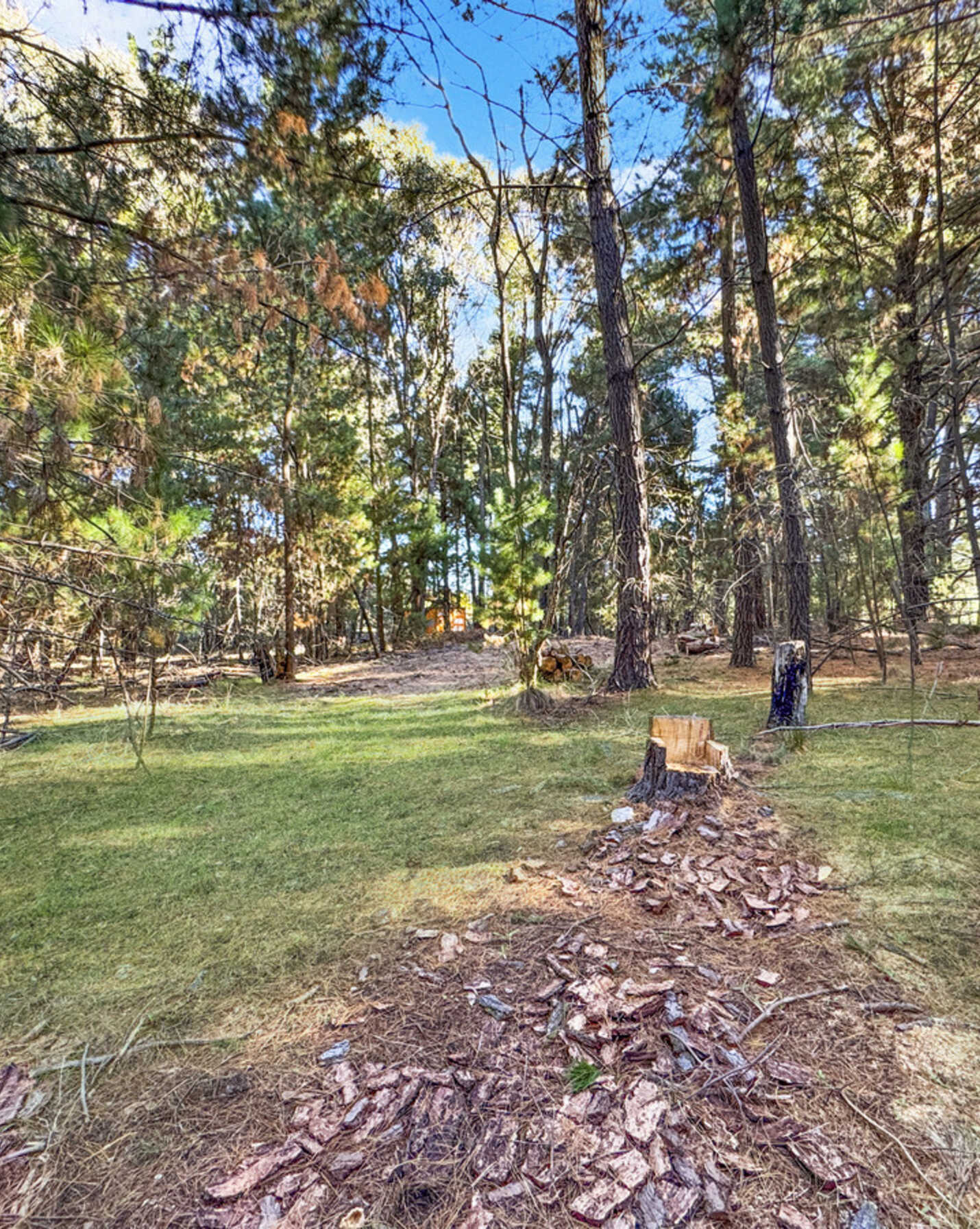20 Macabees Road Yetholme, Yetholme - Thumbnail 3