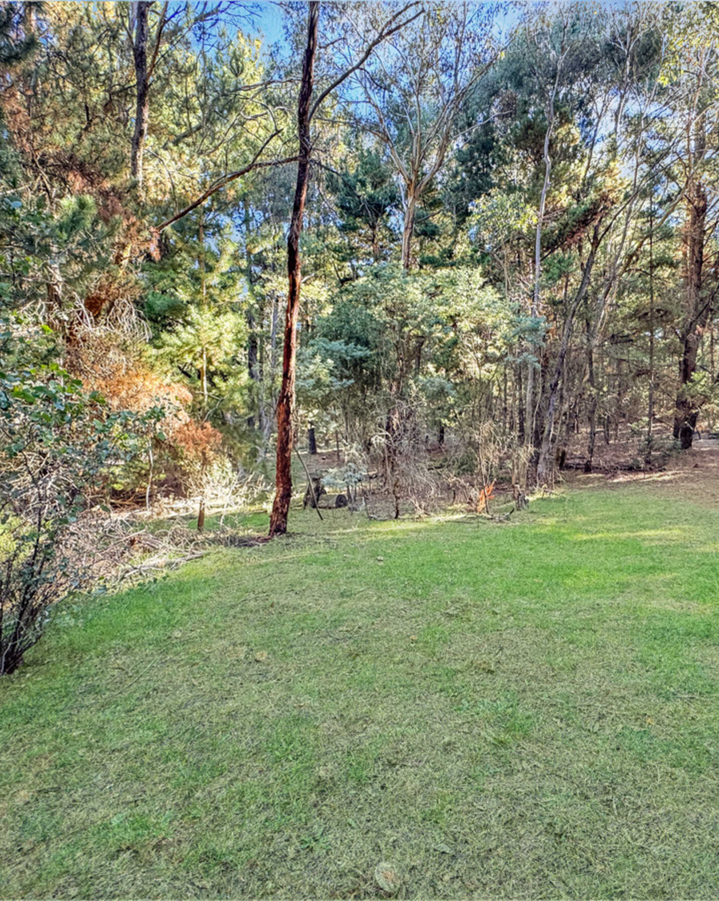 20 Macabees Road Yetholme, Yetholme - Thumbnail 4