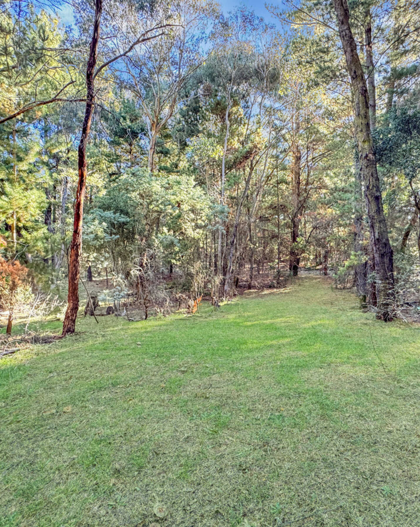 20 Macabees Road Yetholme, Yetholme - Thumbnail 5
