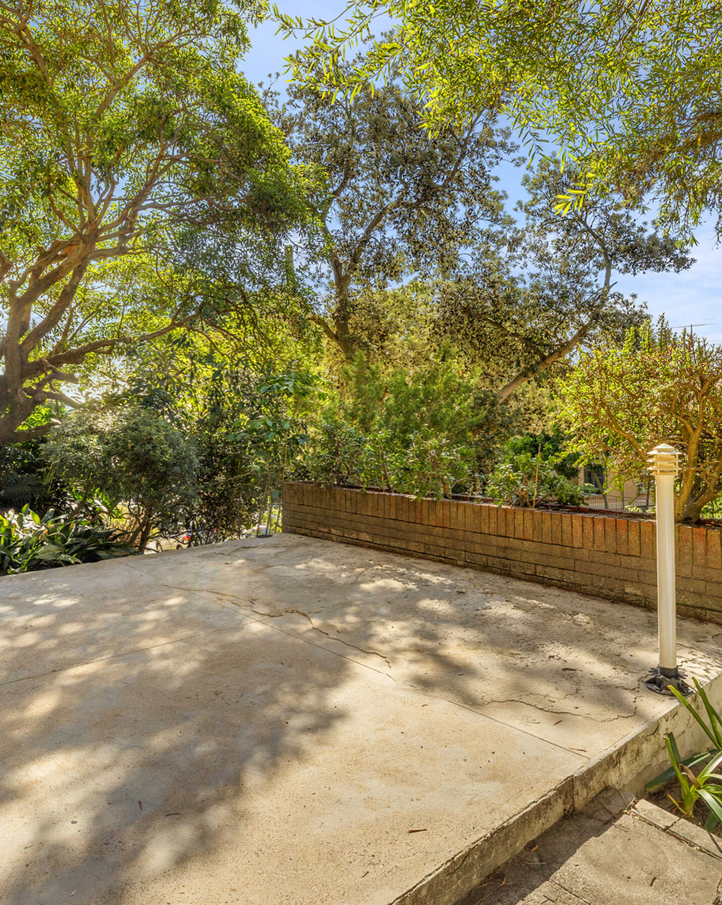 8 Dudley Street Randwick, Randwick - Thumbnail 6
