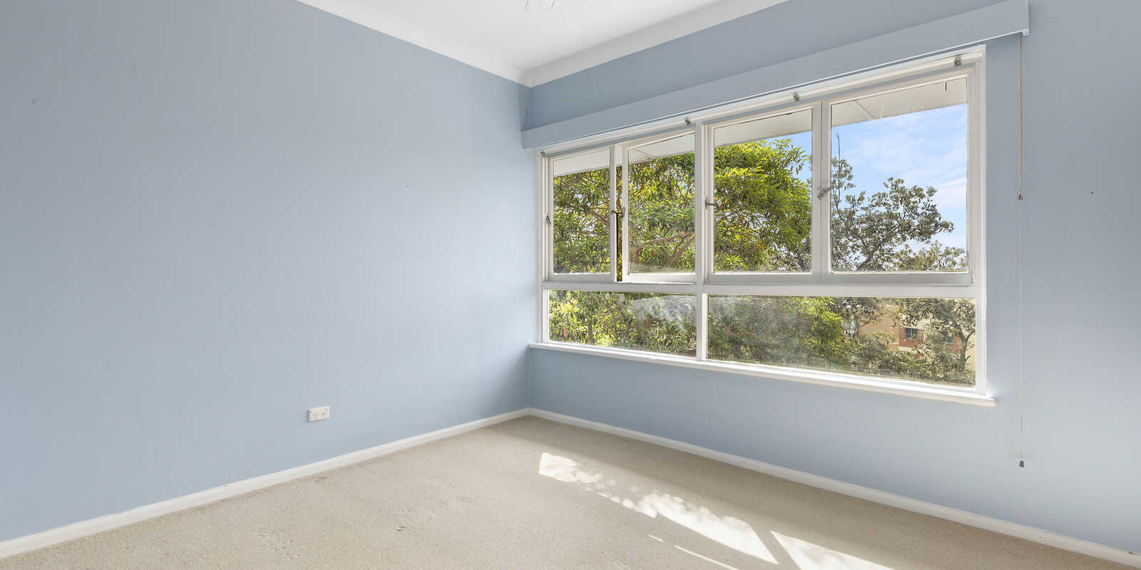 8 Dudley Street Randwick 8 Dudley Street Randwick