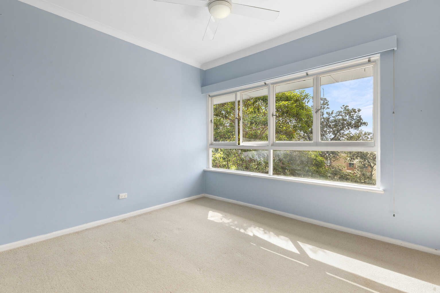 8 Dudley Street Randwick 8 Dudley Street Randwick