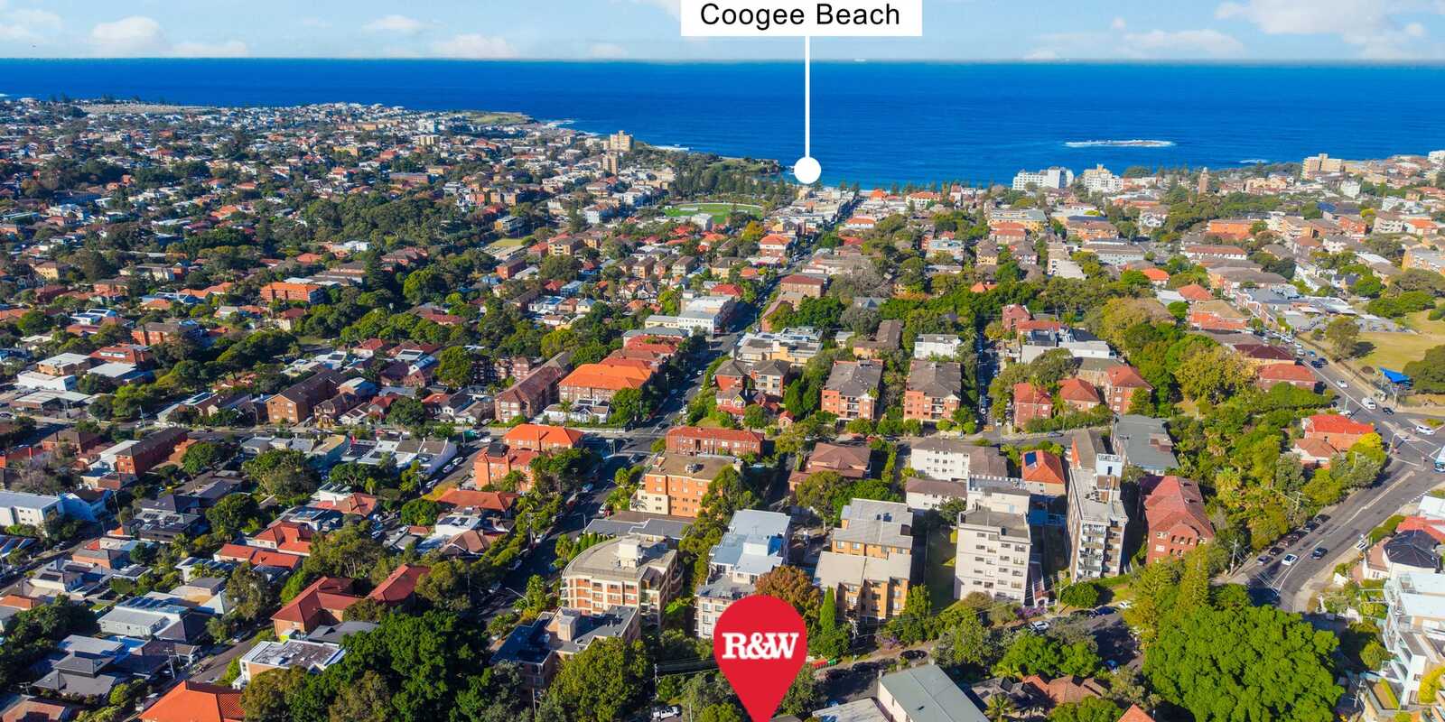 8 Dudley Street Randwick 8 Dudley Street Randwick