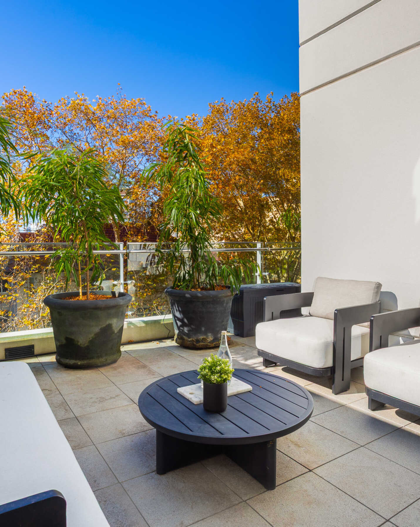 308/81 Macleay Street Potts Point, Point - Thumbnail 2