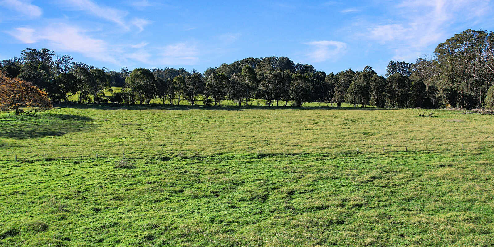 55 Yarrunga Road Wildes Meadow 55 Yarrunga Road Wildes Meadow