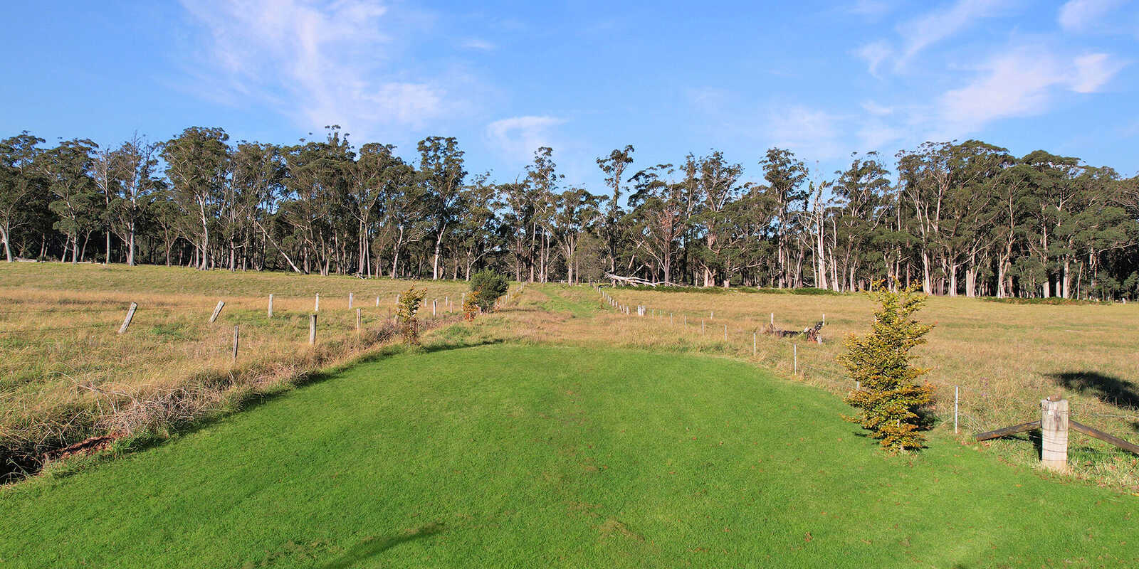 55 Yarrunga Road Wildes Meadow 55 Yarrunga Road Wildes Meadow