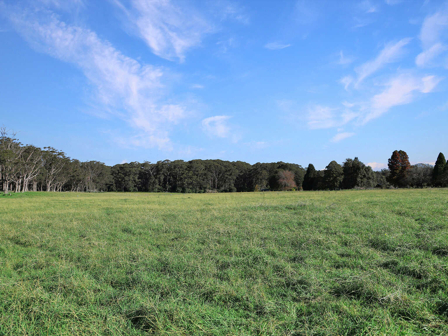 55 Yarrunga Road Wildes Meadow 55 Yarrunga Road Wildes Meadow