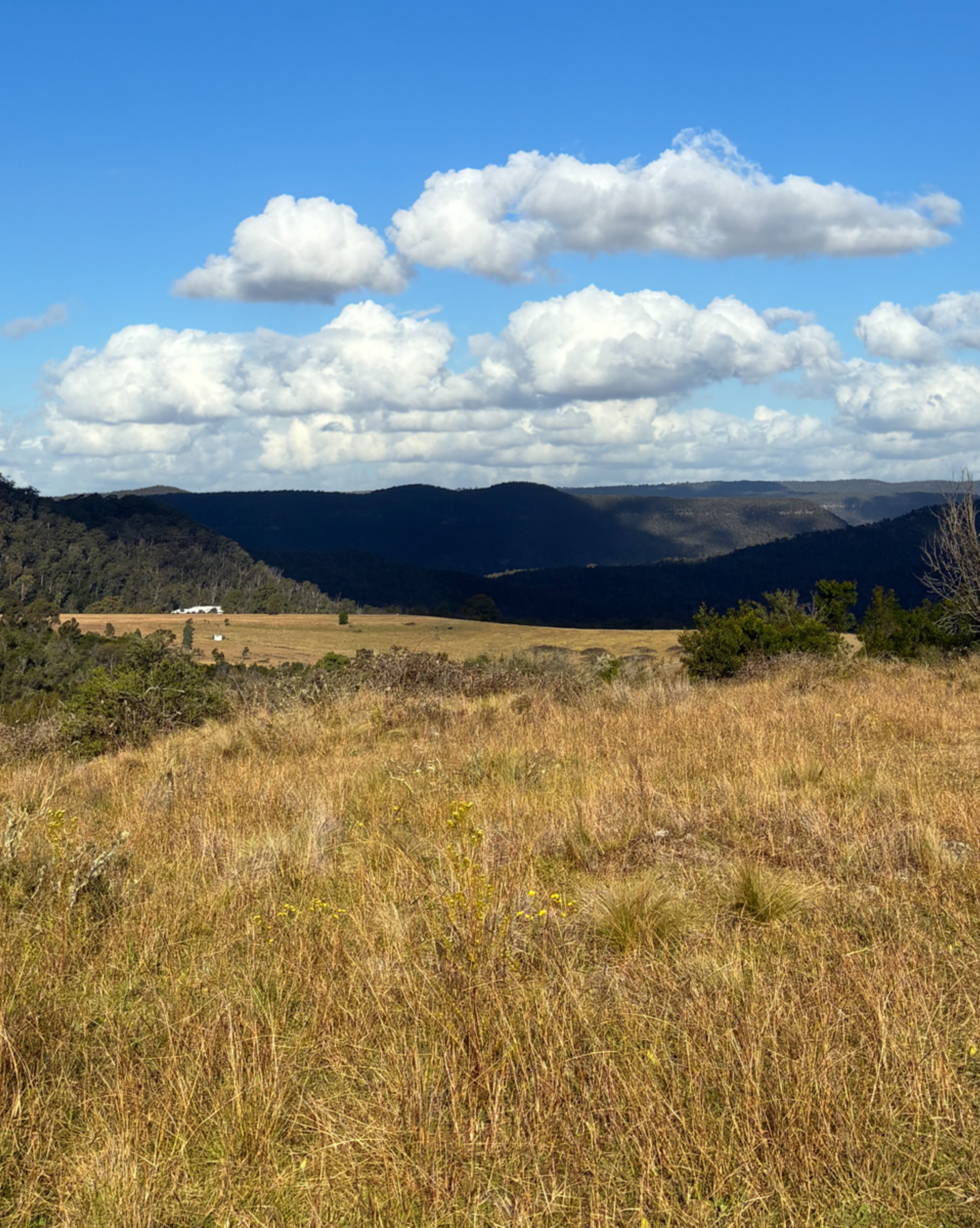 200 Pulpit Rock Road Bullio