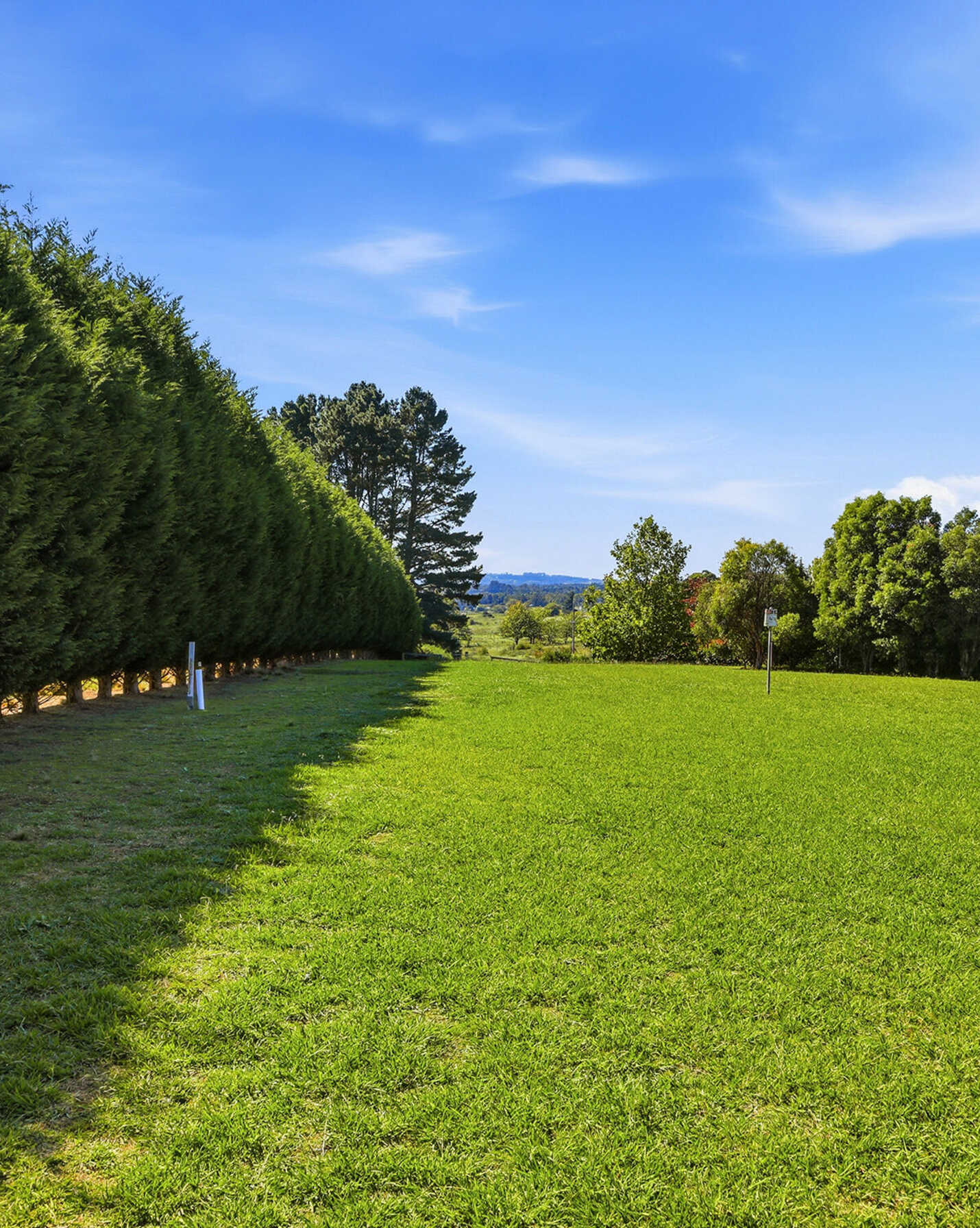 Moss Vale, Moss Vale - Thumbnail 4
