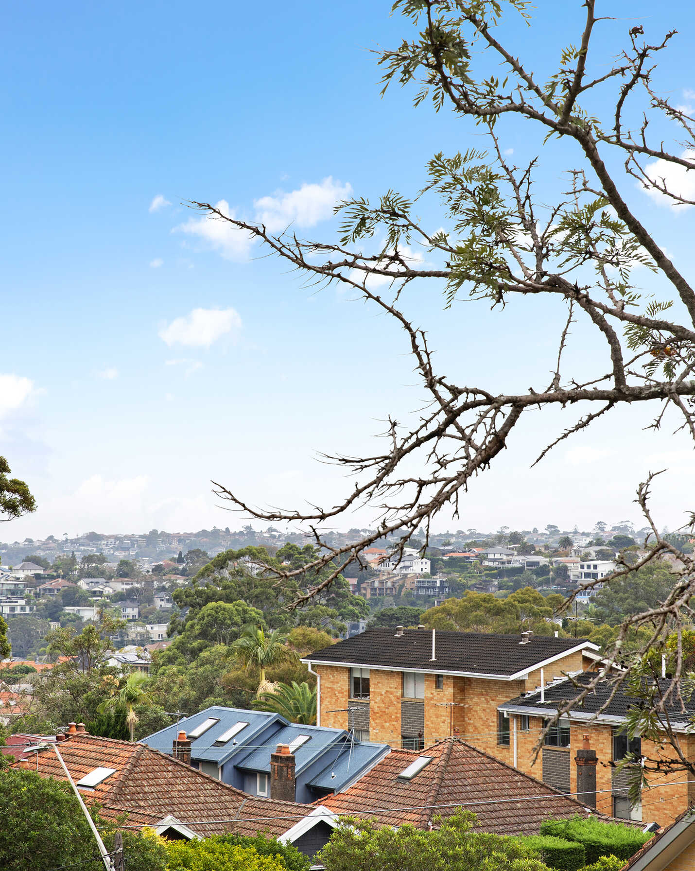 22/96 Ourimbah Road Mosman, Mosman - Image 1