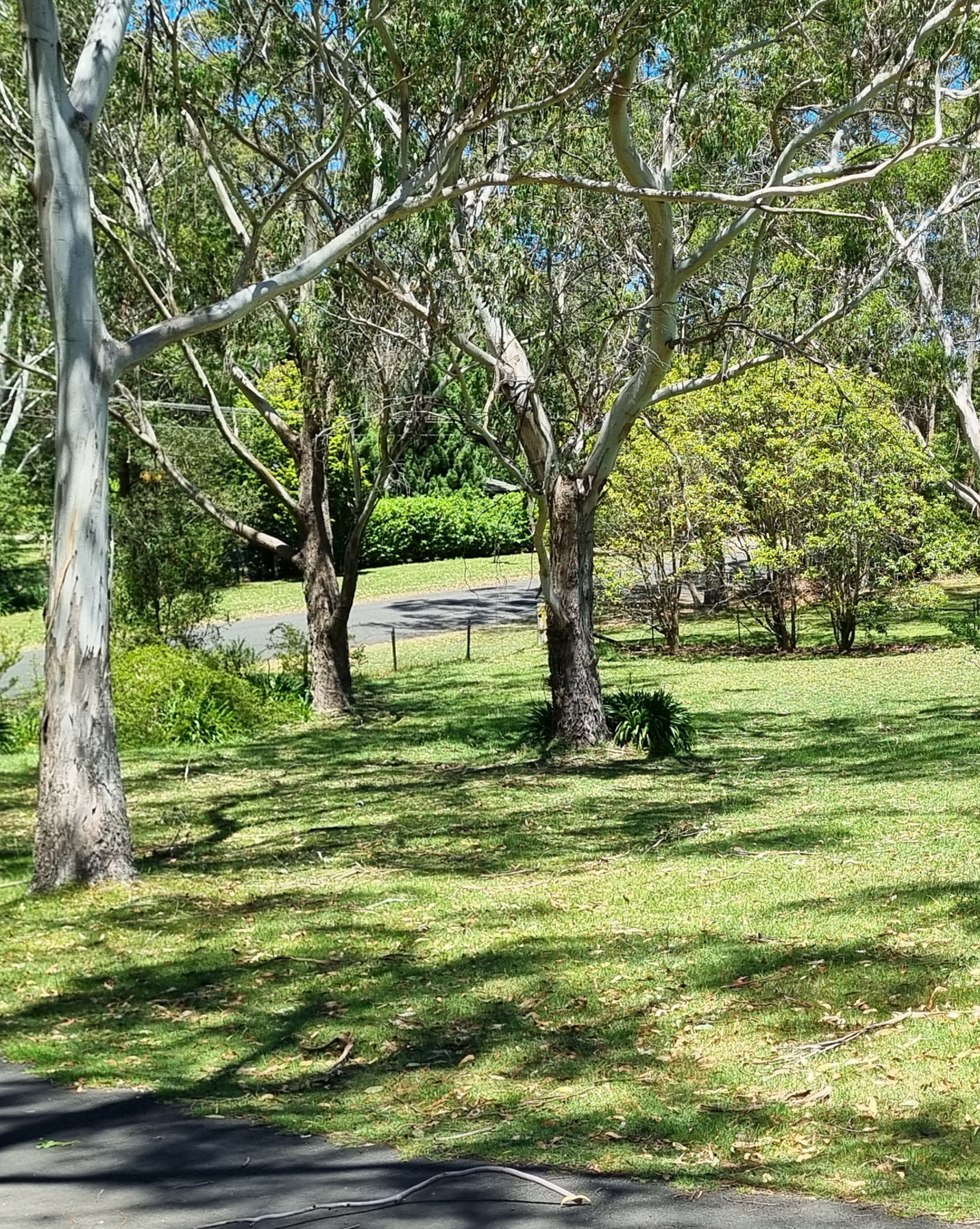 39 Garland Road Bundanoon, Bundanoon - Thumbnail 2