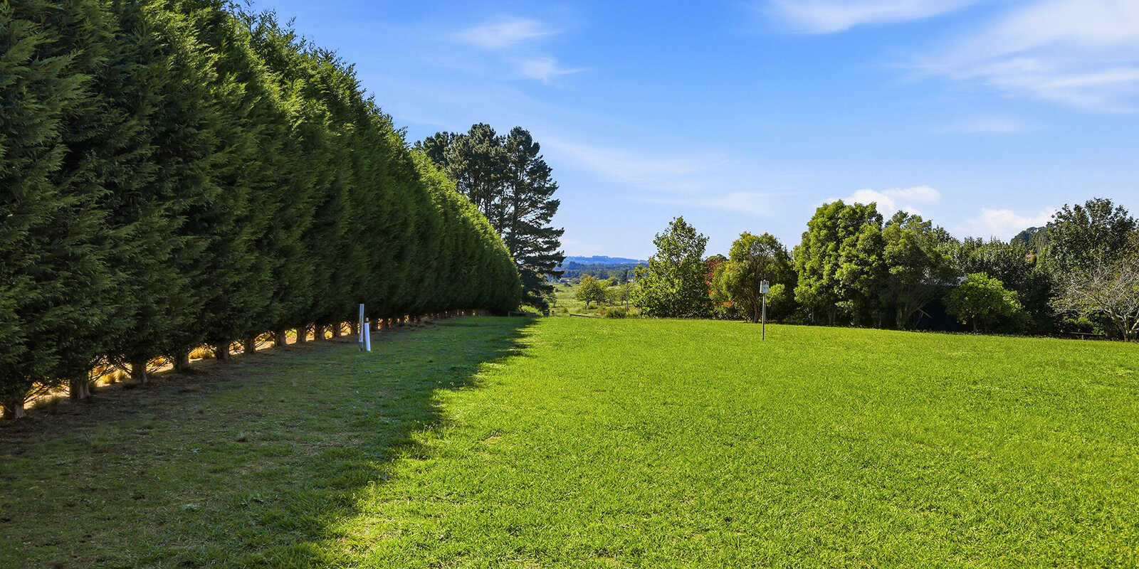  Moss Vale