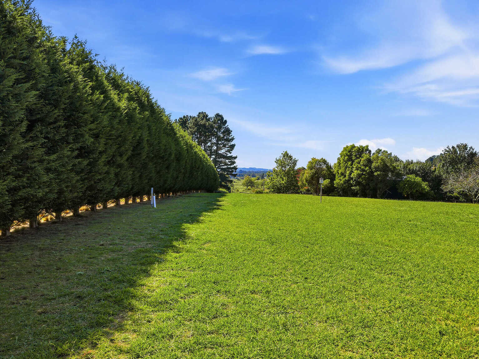  Moss Vale