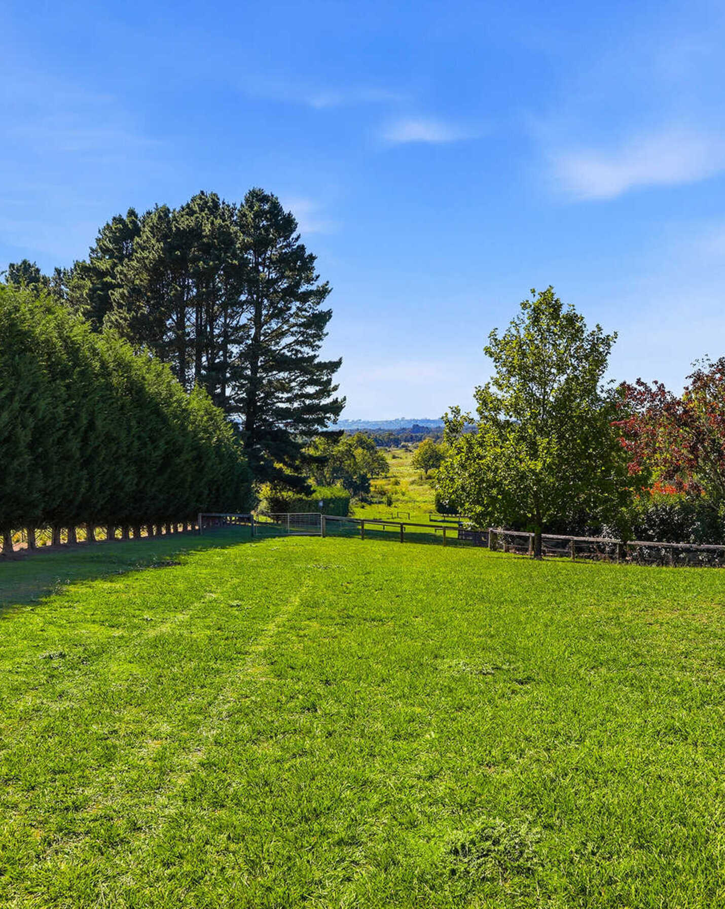 Moss Vale, Moss Vale - Thumbnail 5