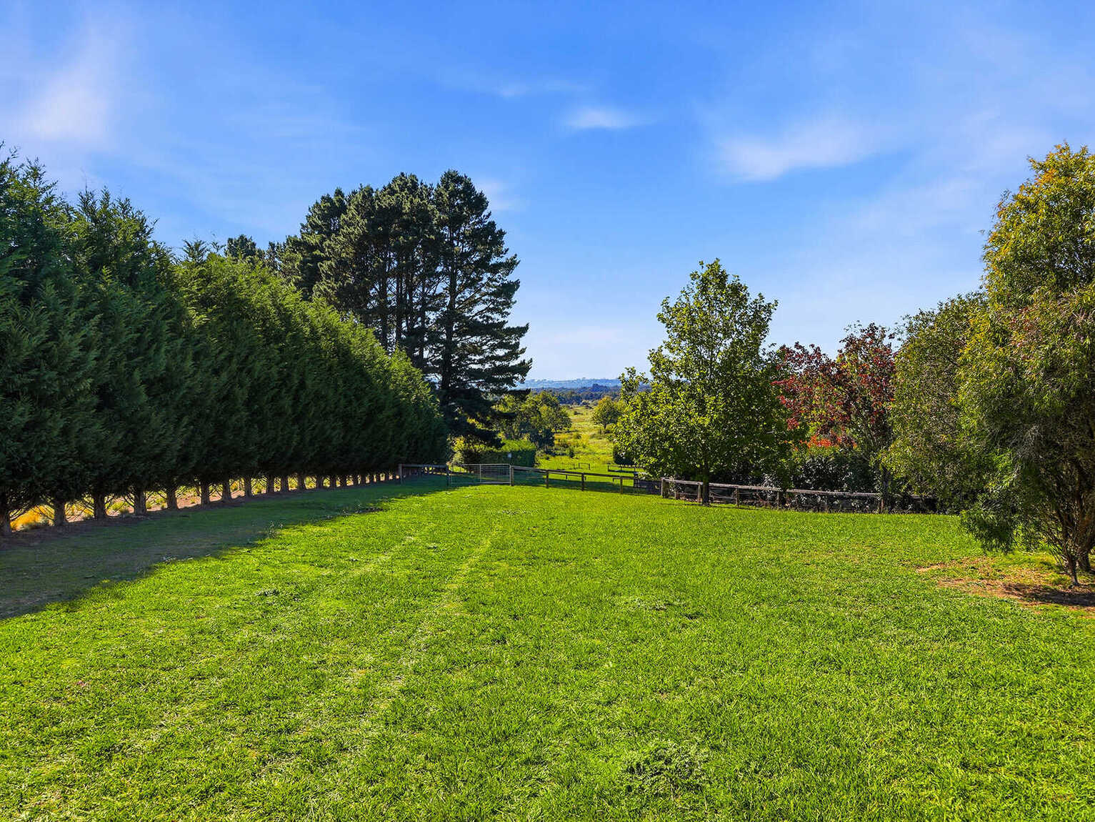  Moss Vale