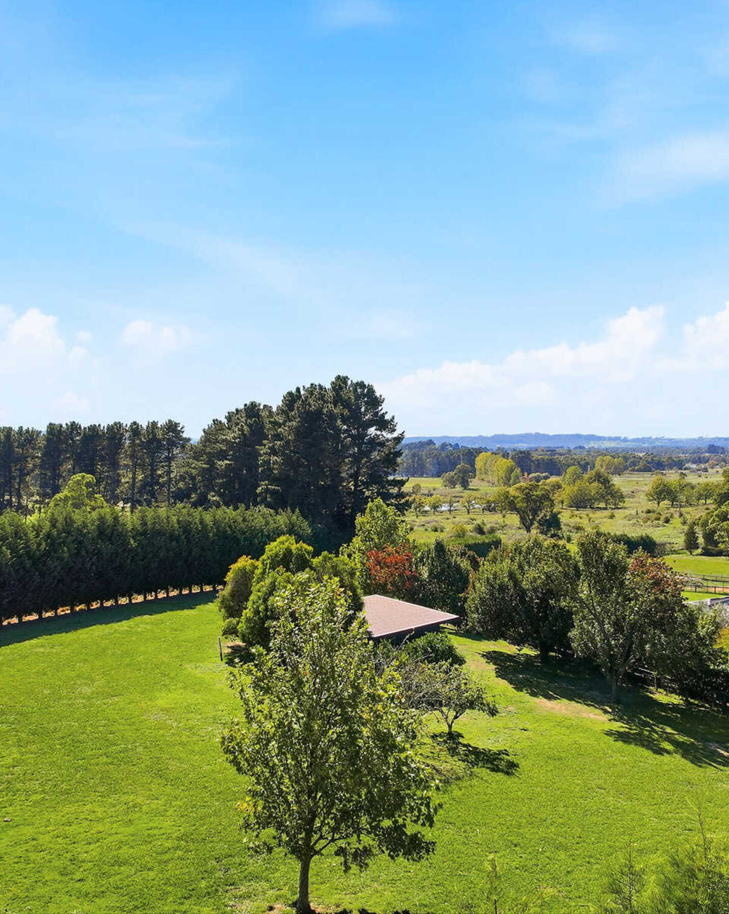 Moss Vale, Moss Vale - Thumbnail 8